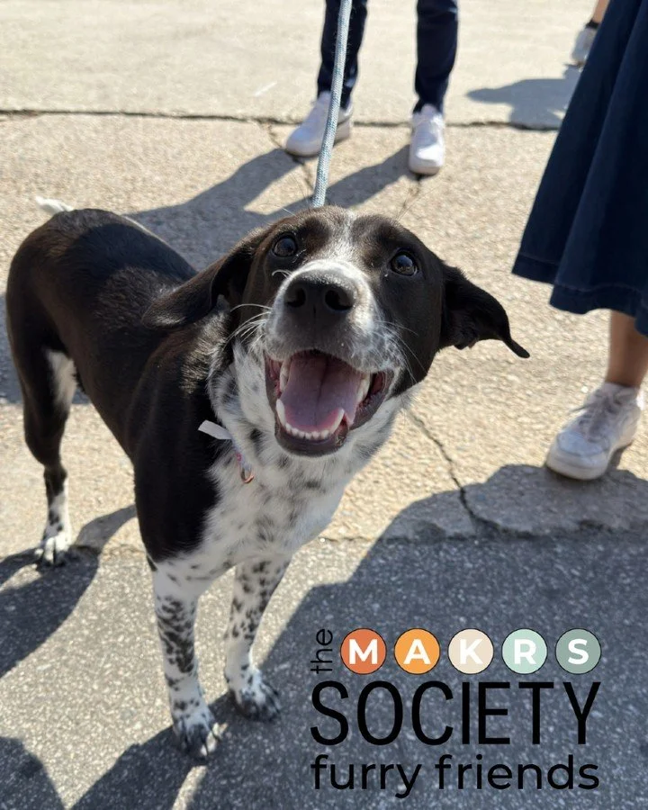 Honestly, your doggos are some of our best customers 🐶

They show up excited, hype up every booth, and never complain about prices&hellip; just here for the vibes and maybe a treat or two 😉