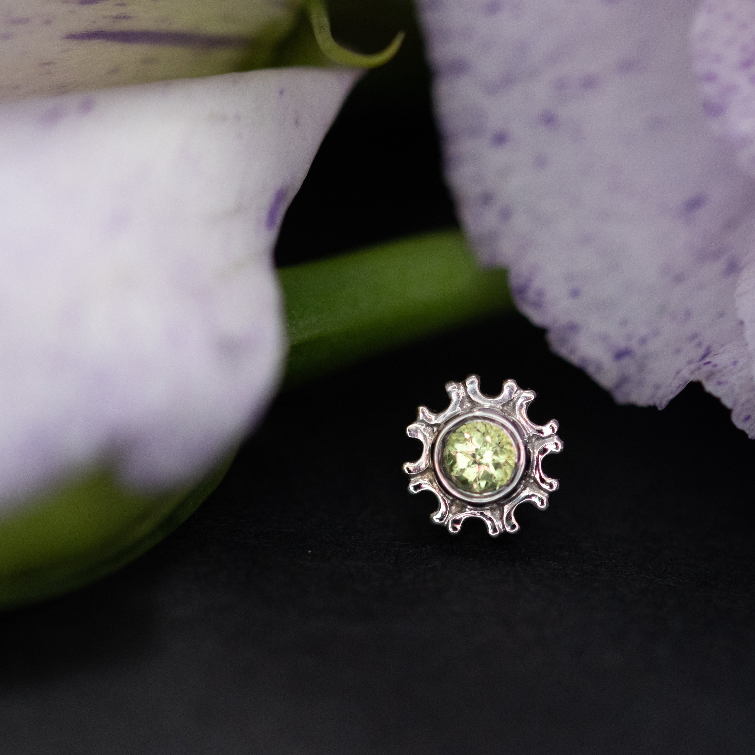 Arcadia Professional Body Piercing