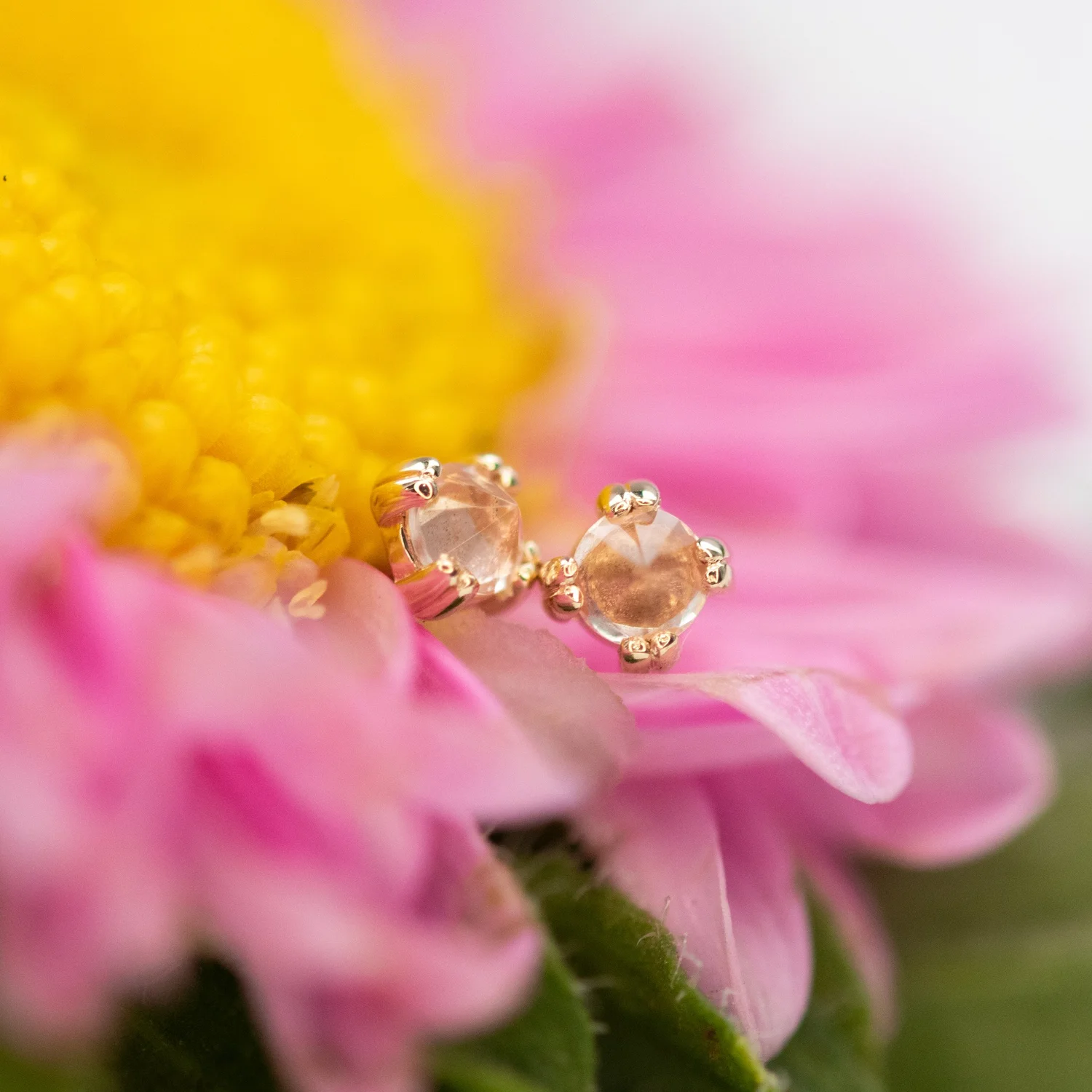 Arcadia Professional Body Piercing