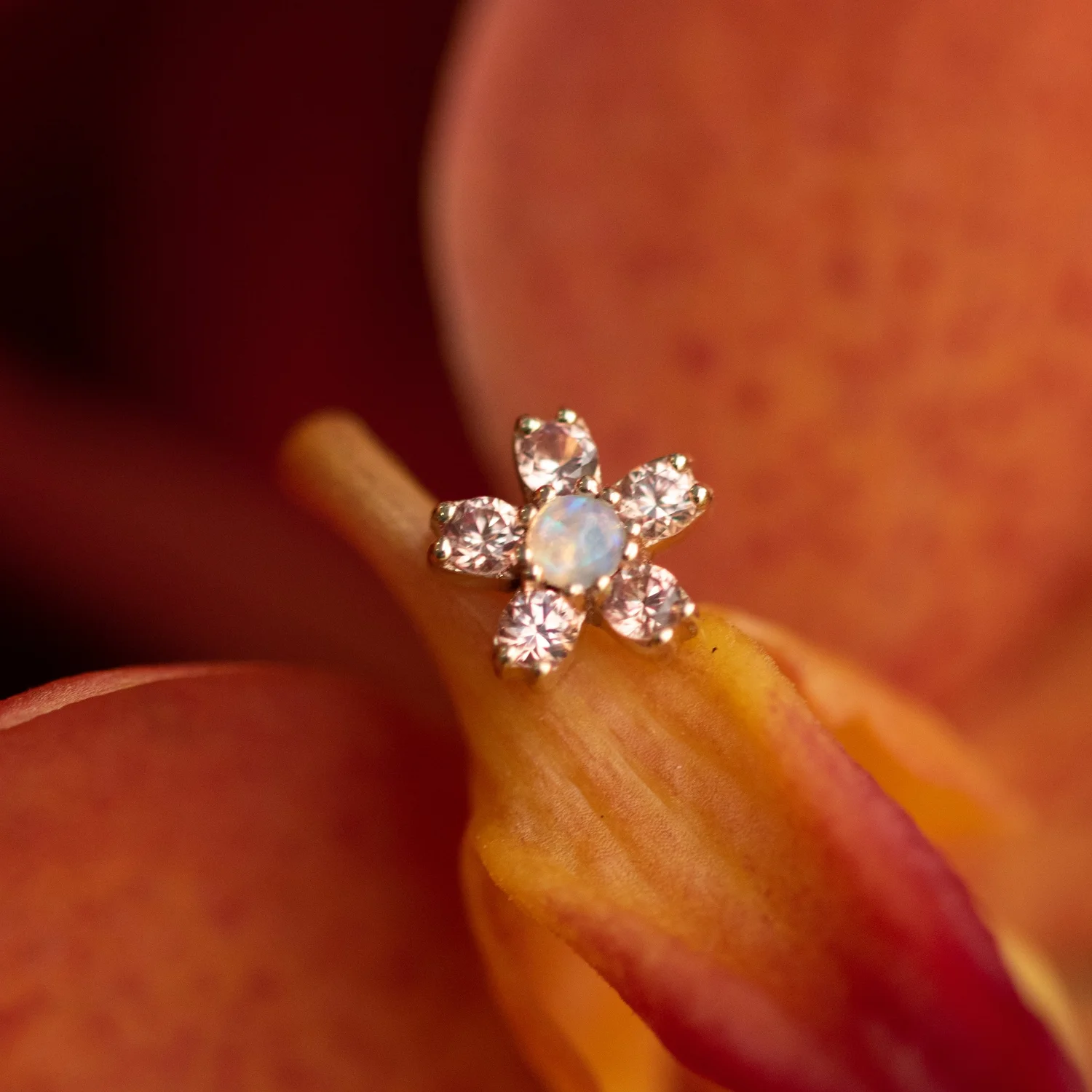 Arcadia Professional Body Piercing