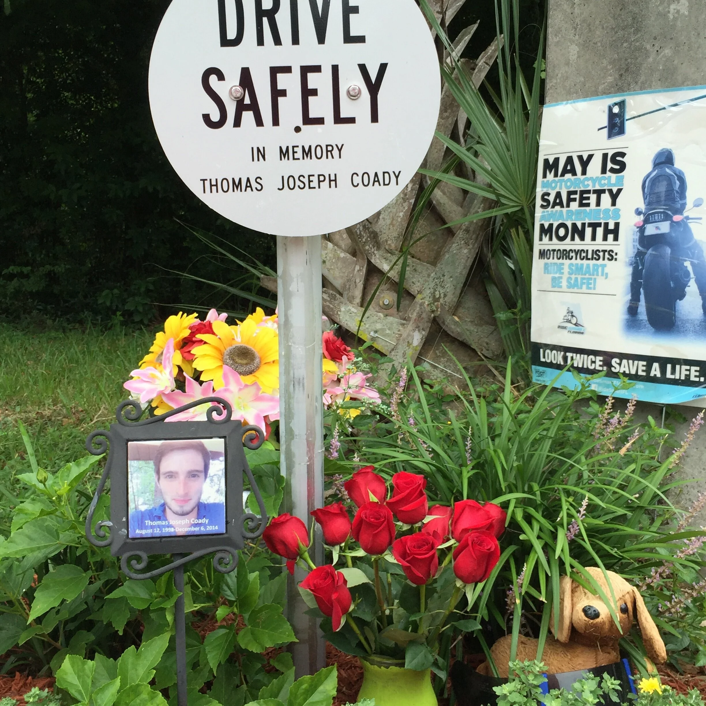 A memorial with a sign that reads 'Drive Safely in Memory Thomas Joseph Coady,' surrounded by flowers and a framed photo of Thomas Joseph Coady, as well as a poster about motorcycle safety awareness.