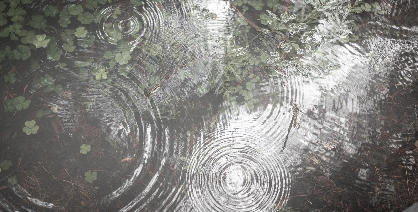Are Hidden Fears Holding You Back?