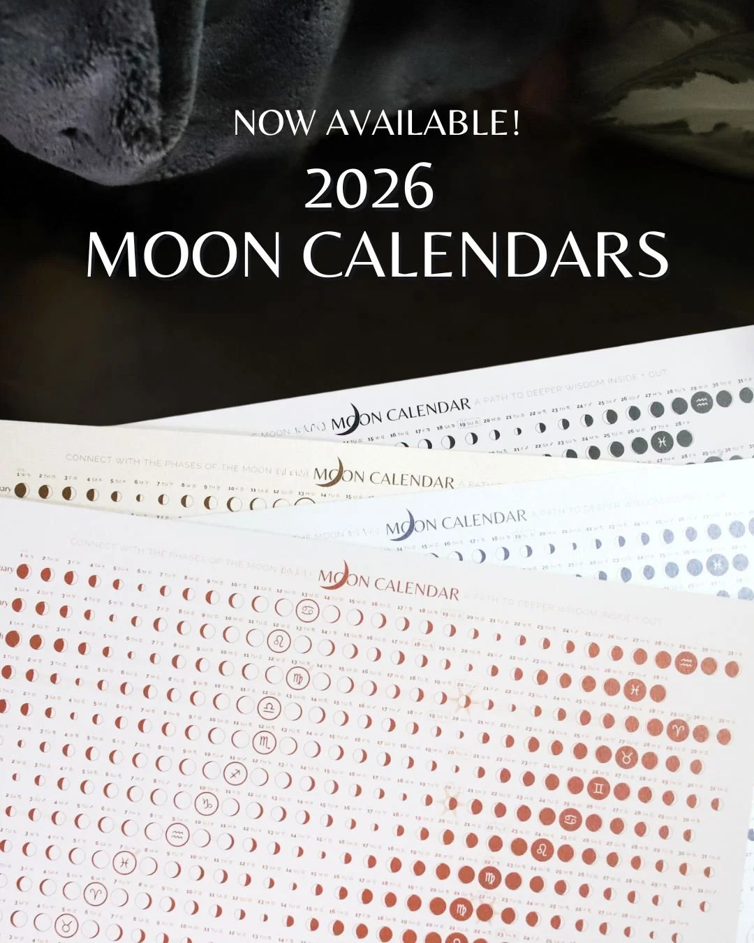 They're finally here! 🌙 2026 Moon Calendars are officially available, and I'm so ready to get these beauties in your hands.

Shipping dates are:
⭐ December 8 (order by Dec. 7)
⭐ December 16 &amp; everyday thereafter

After months of moving chaos and