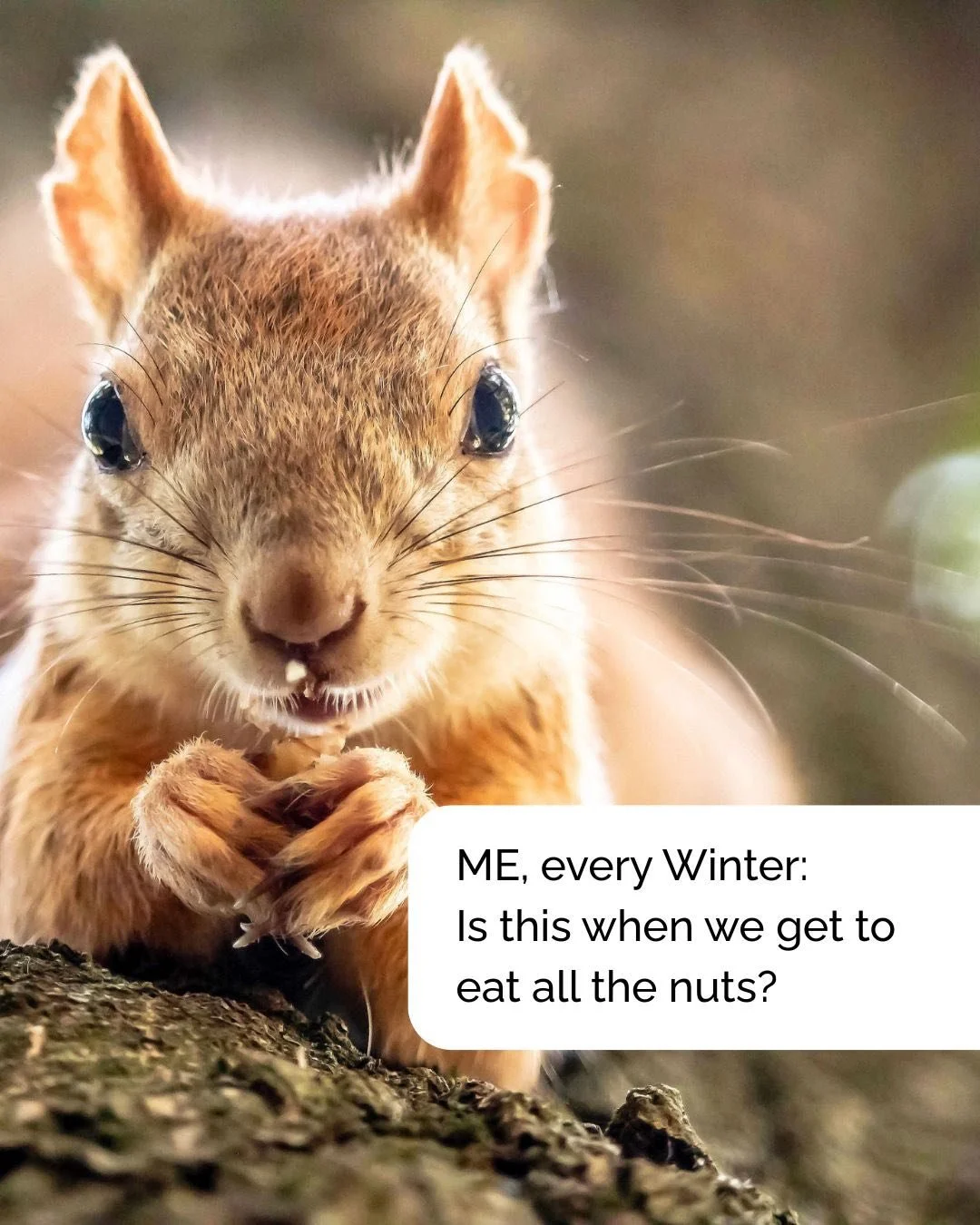 Happy first day of Winter 🪾❄️