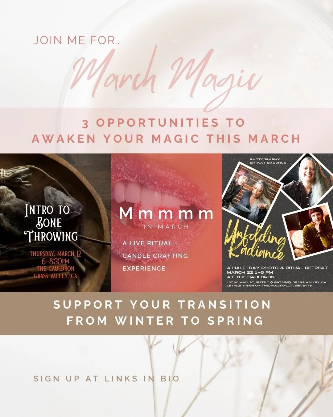 Before Spring fully arrives, I'm dropping into magic to clarify intentions for the season ahead. 

Spring is one of those seasons that can really speed up when it gets rolling. I like to bring intention to its direction and overall flavor.

If you do