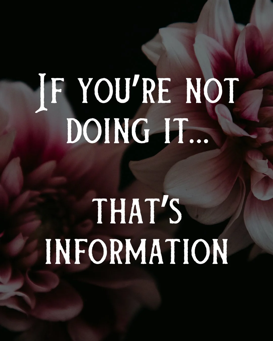 If you&rsquo;re not doing it&hellip; that&rsquo;s information

Very often someone will come to me with a very clear idea of what they think they should be doing.

Usually it sounds something like:
&ldquo;I just need to be more consistent with ______.