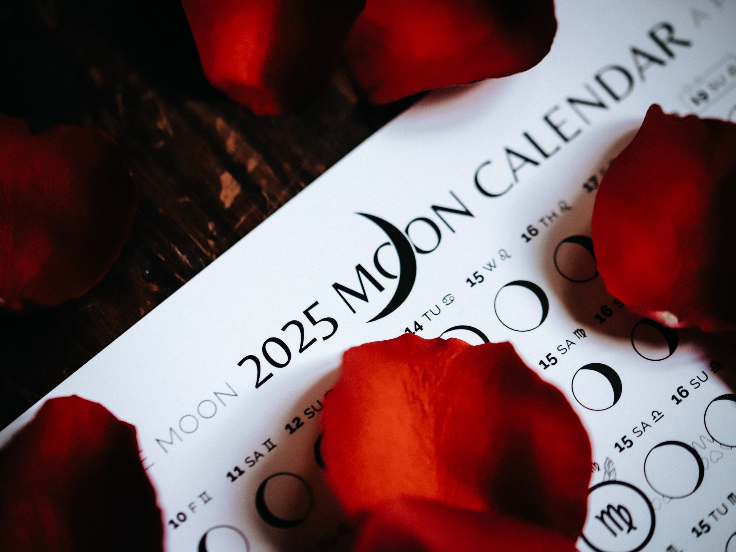 Noir 2025 Moon Calendar Poster