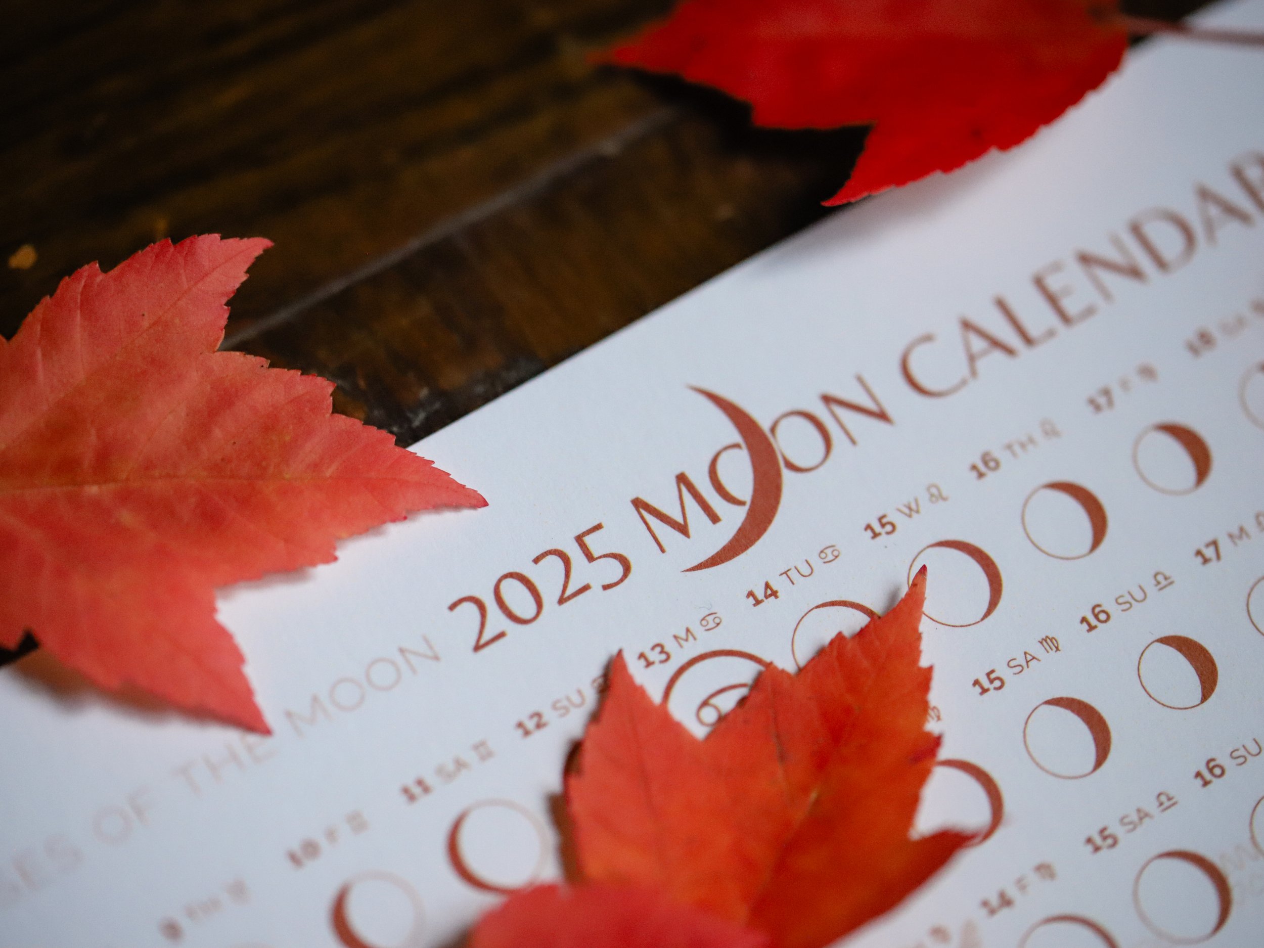 Terra Cotta 2025 Moon Calendar Poster
