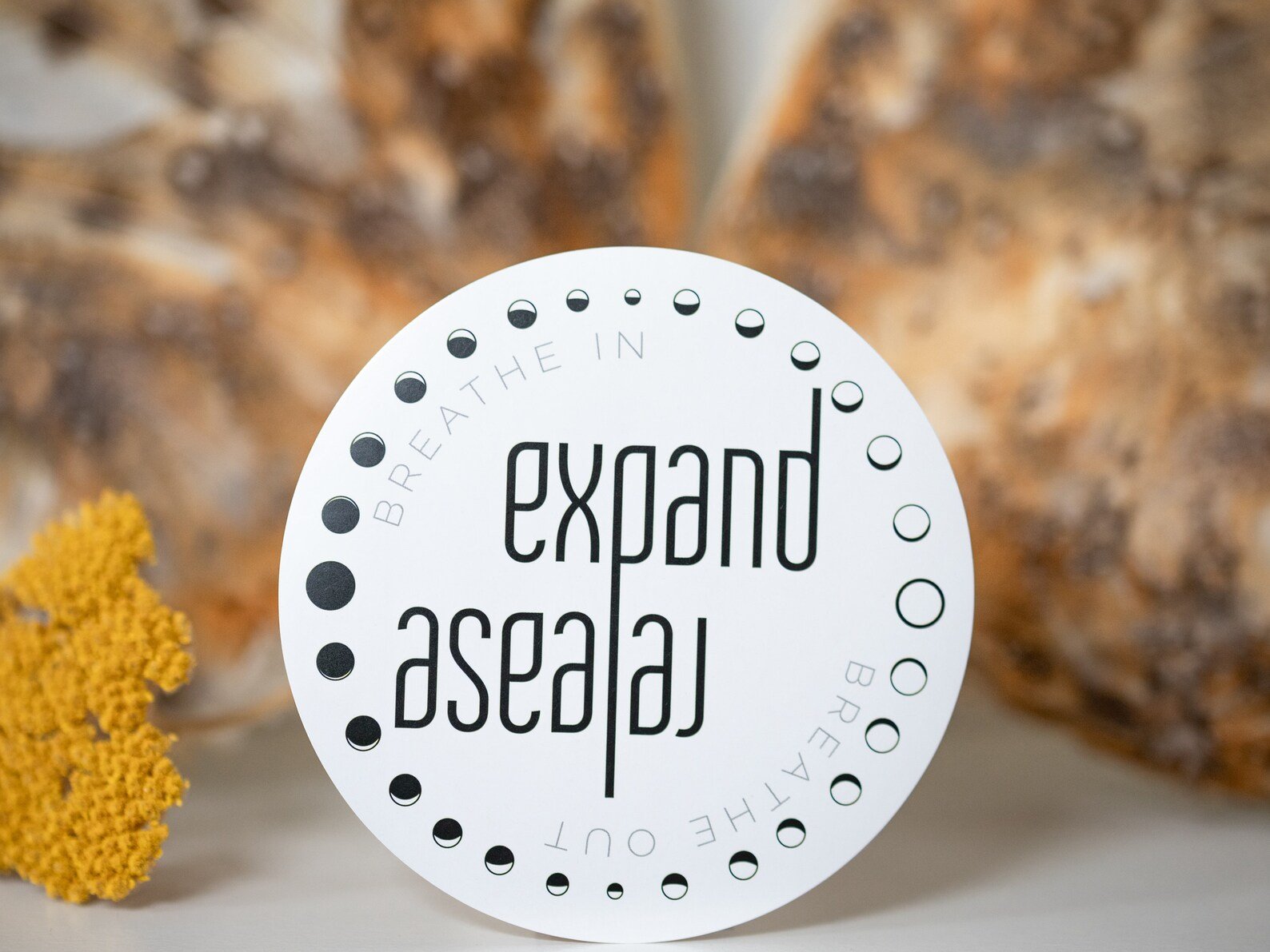 expand moon sticker 4.jpg