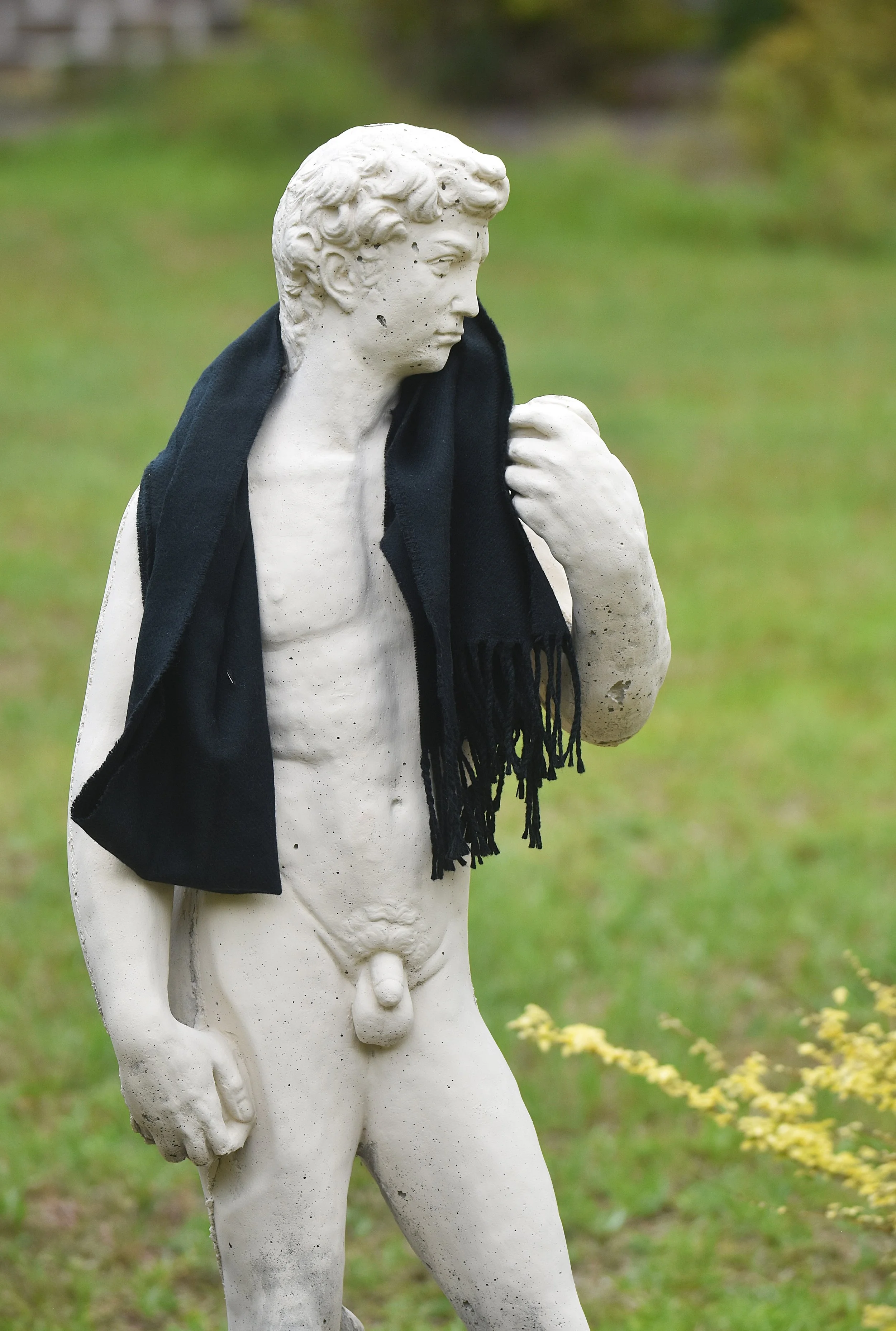 DSC_0504aa david black scarf neck.JPG