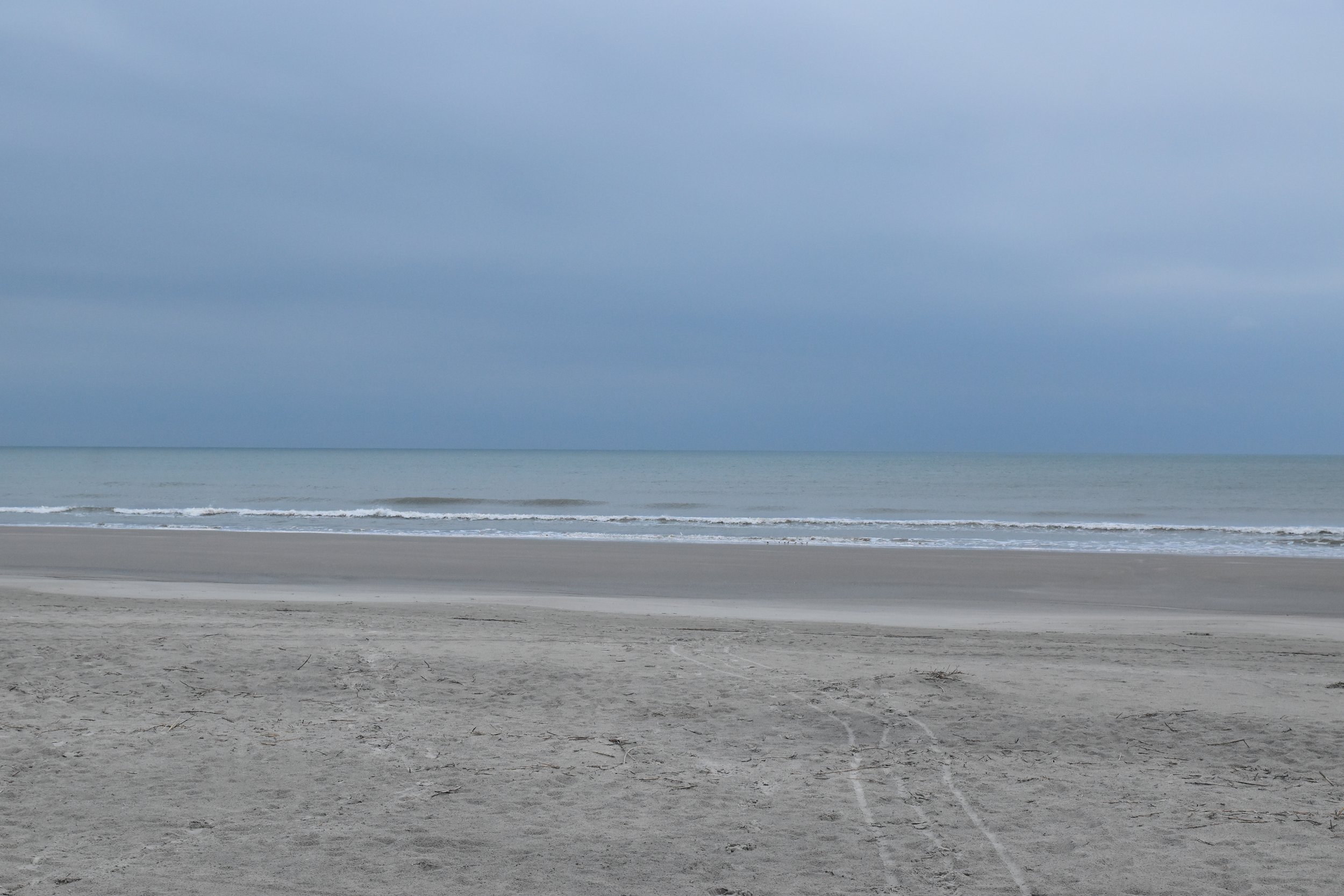 DSC_0127.JPG
