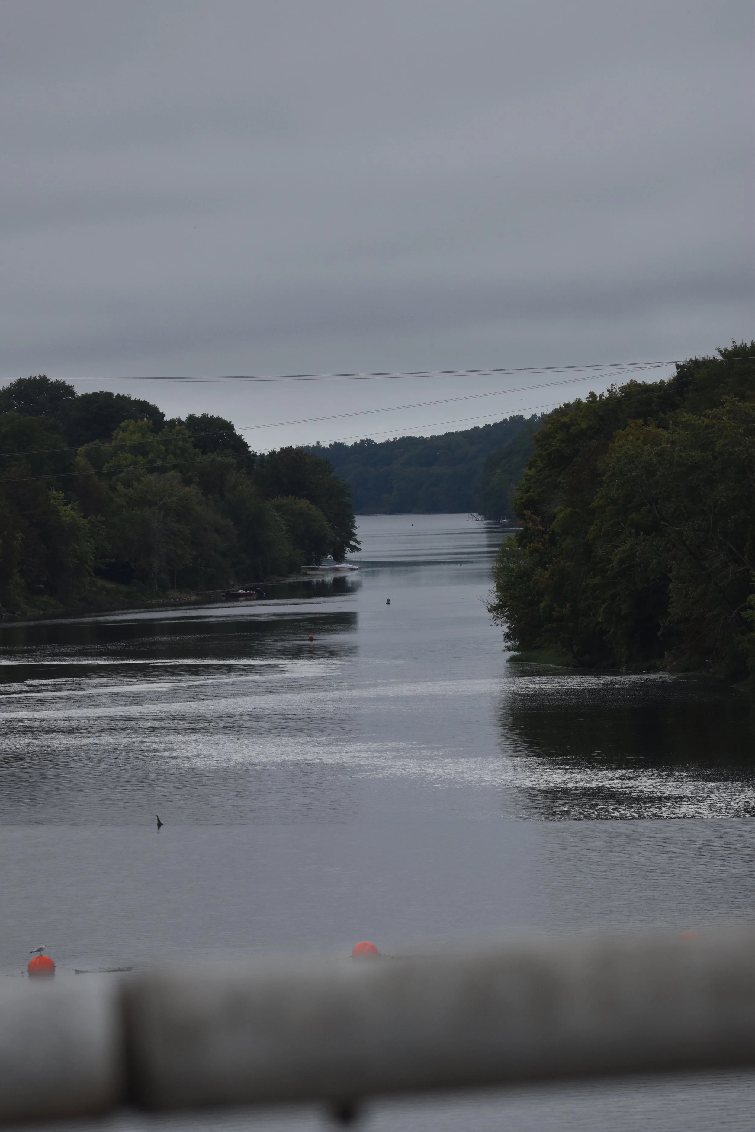 DSC_0472.JPG