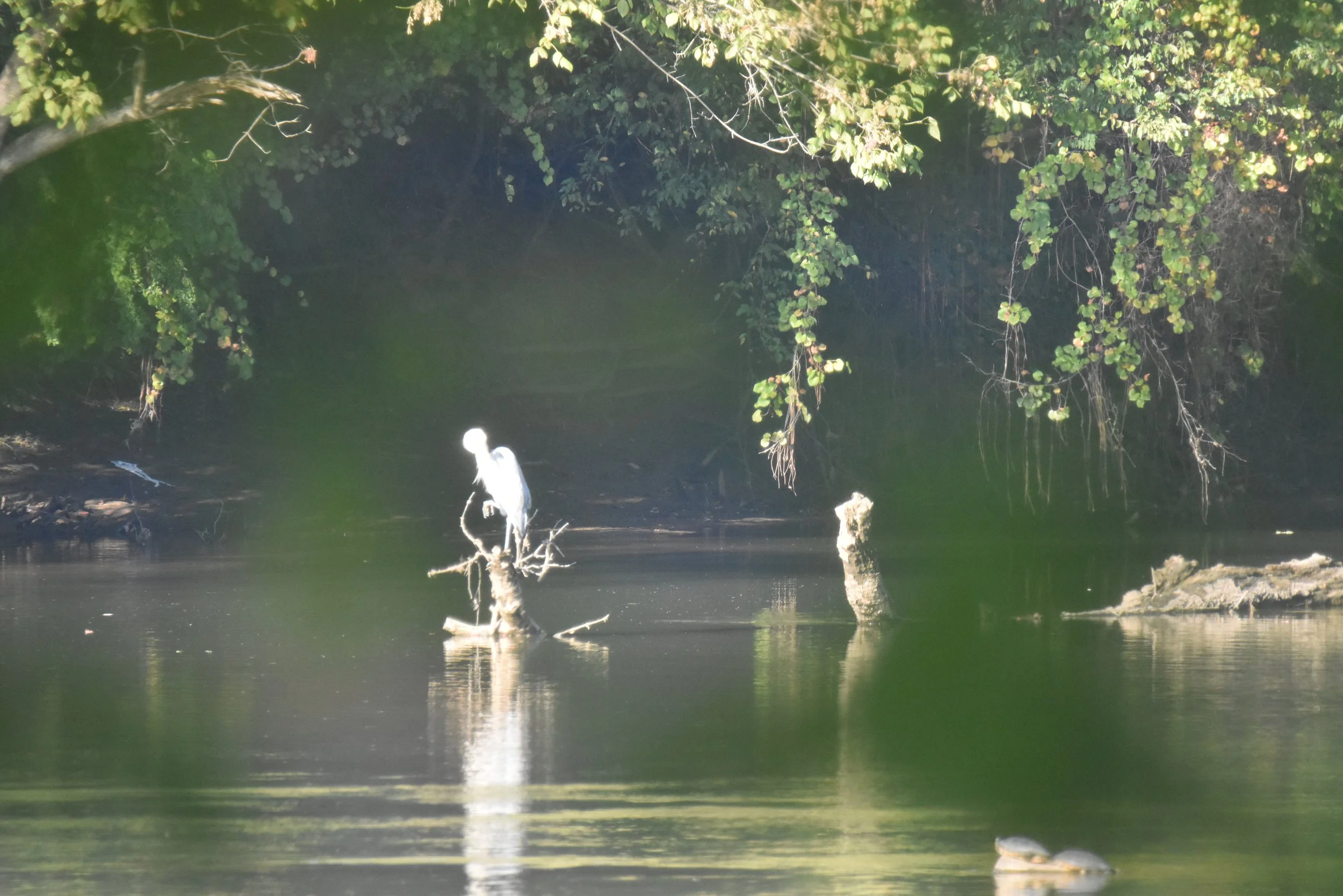 DSC_0636.JPG