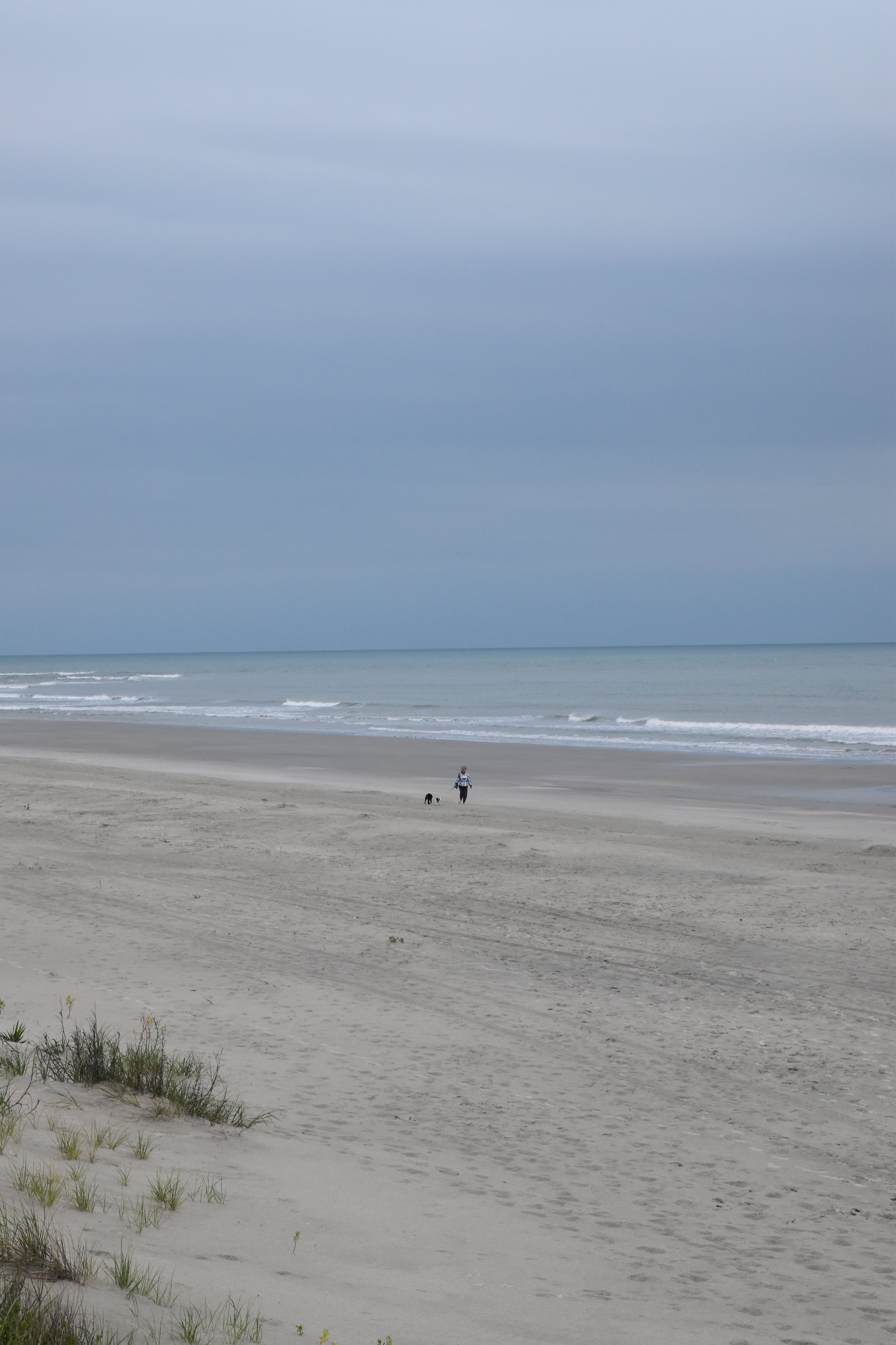 DSC_0119.JPG