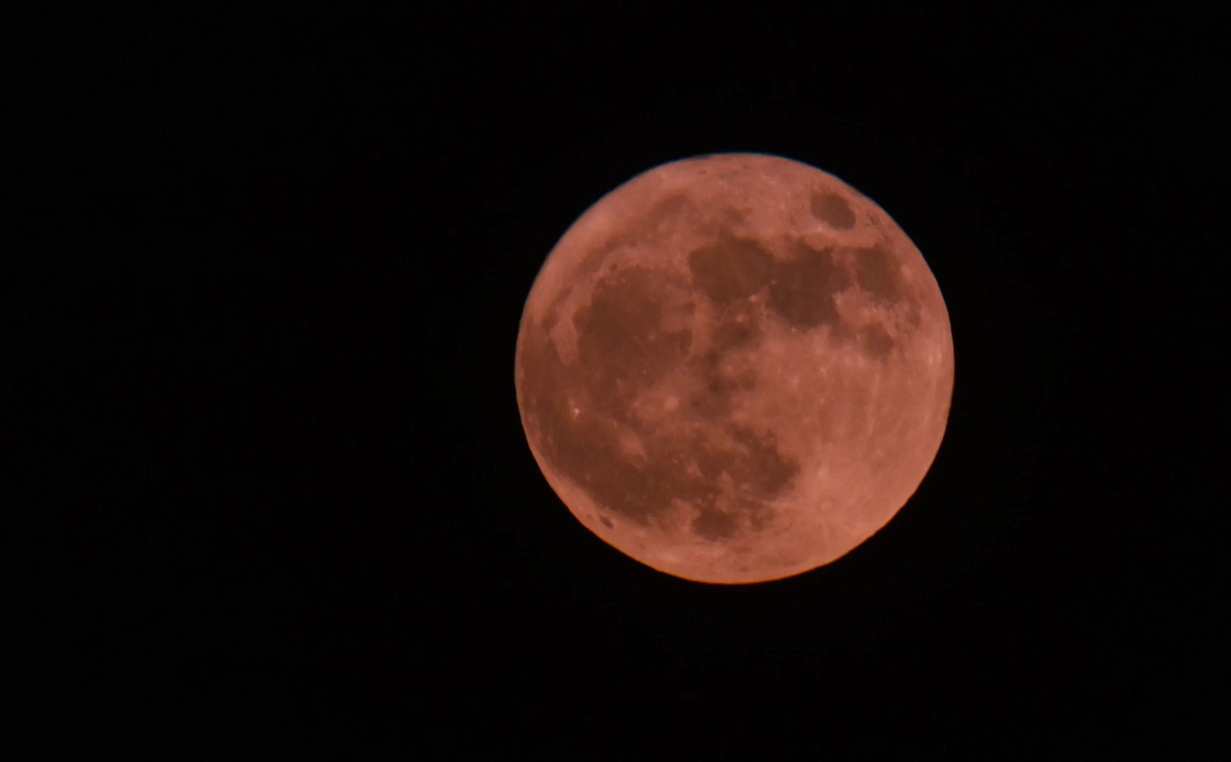 DSC_0481cc.JPG