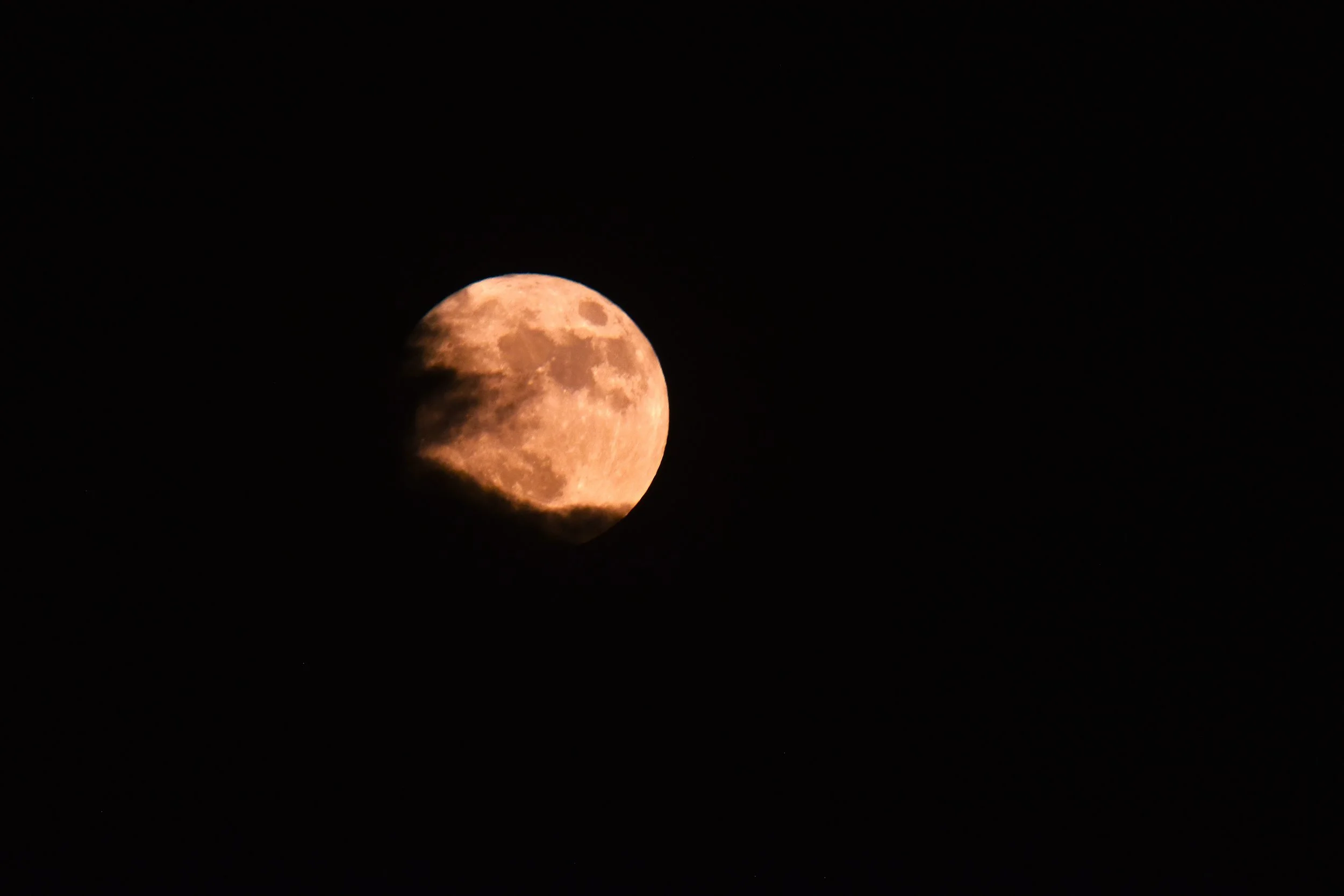 DSC_0511a.JPG