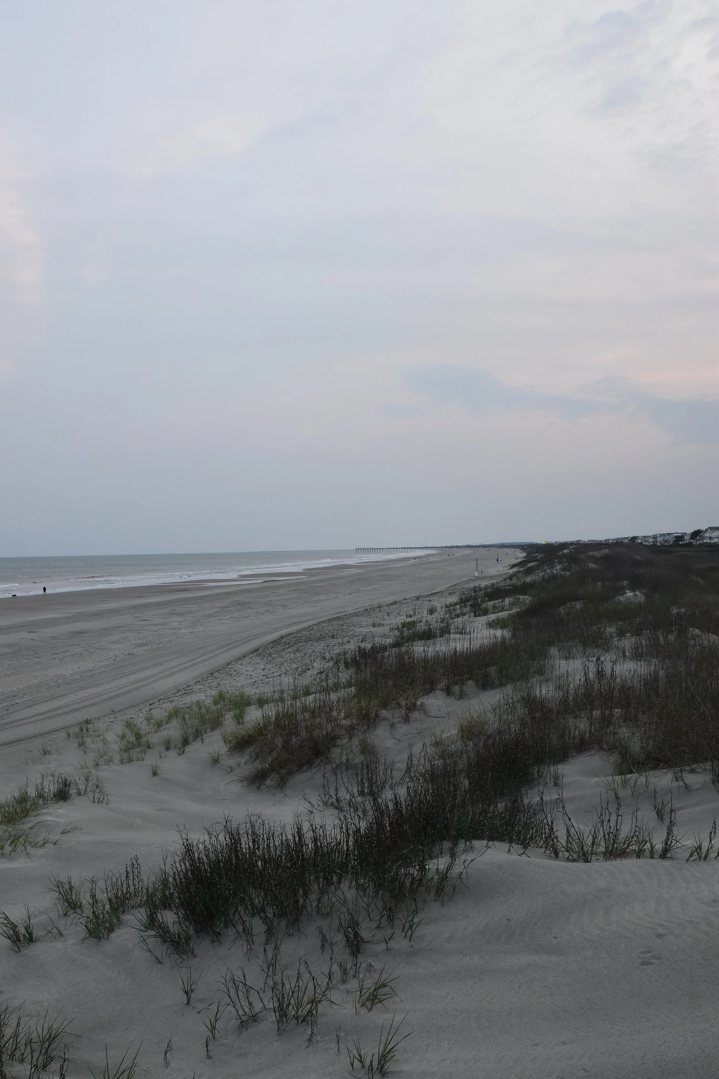 DSC_0122.JPG