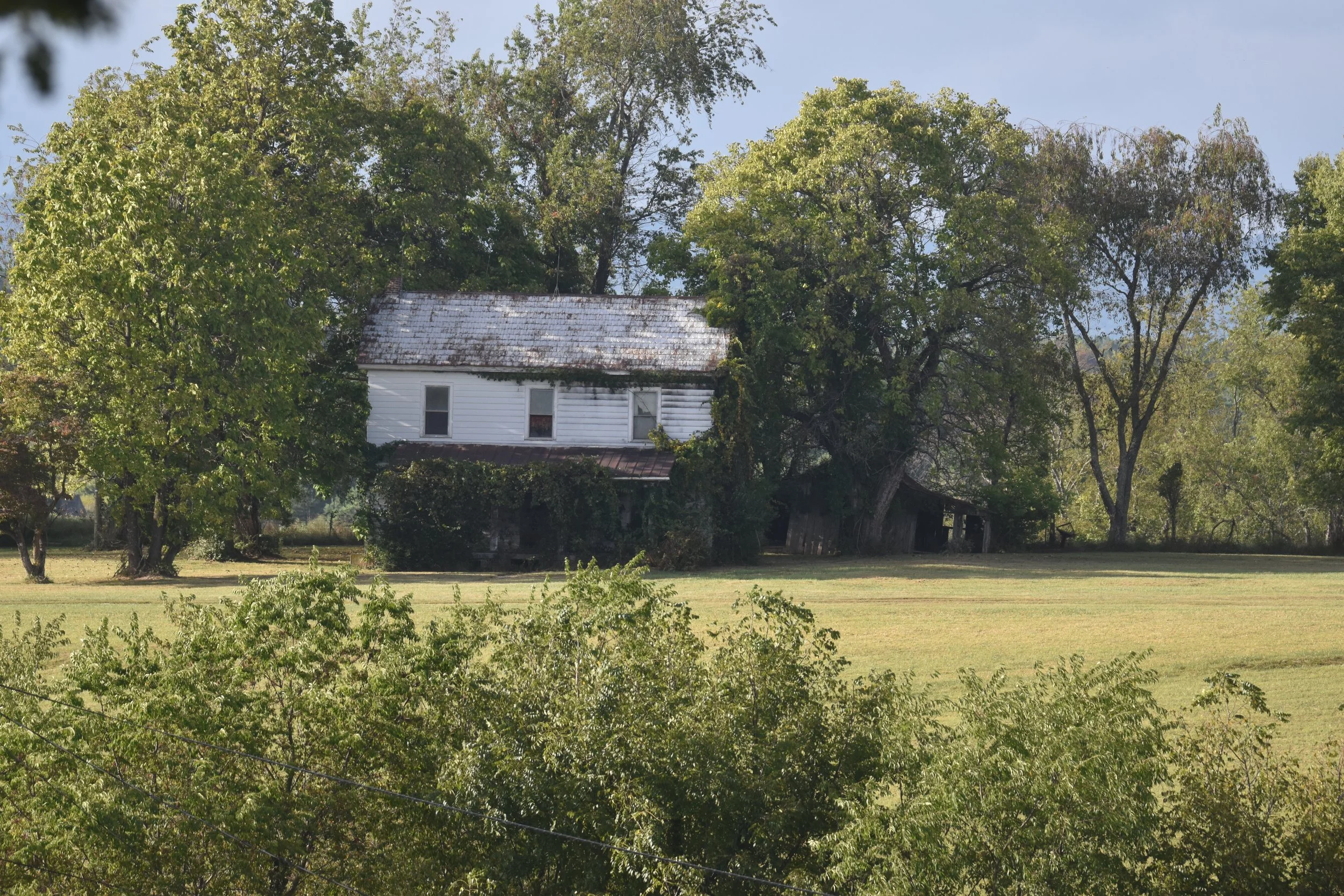 DSC_0429.JPG