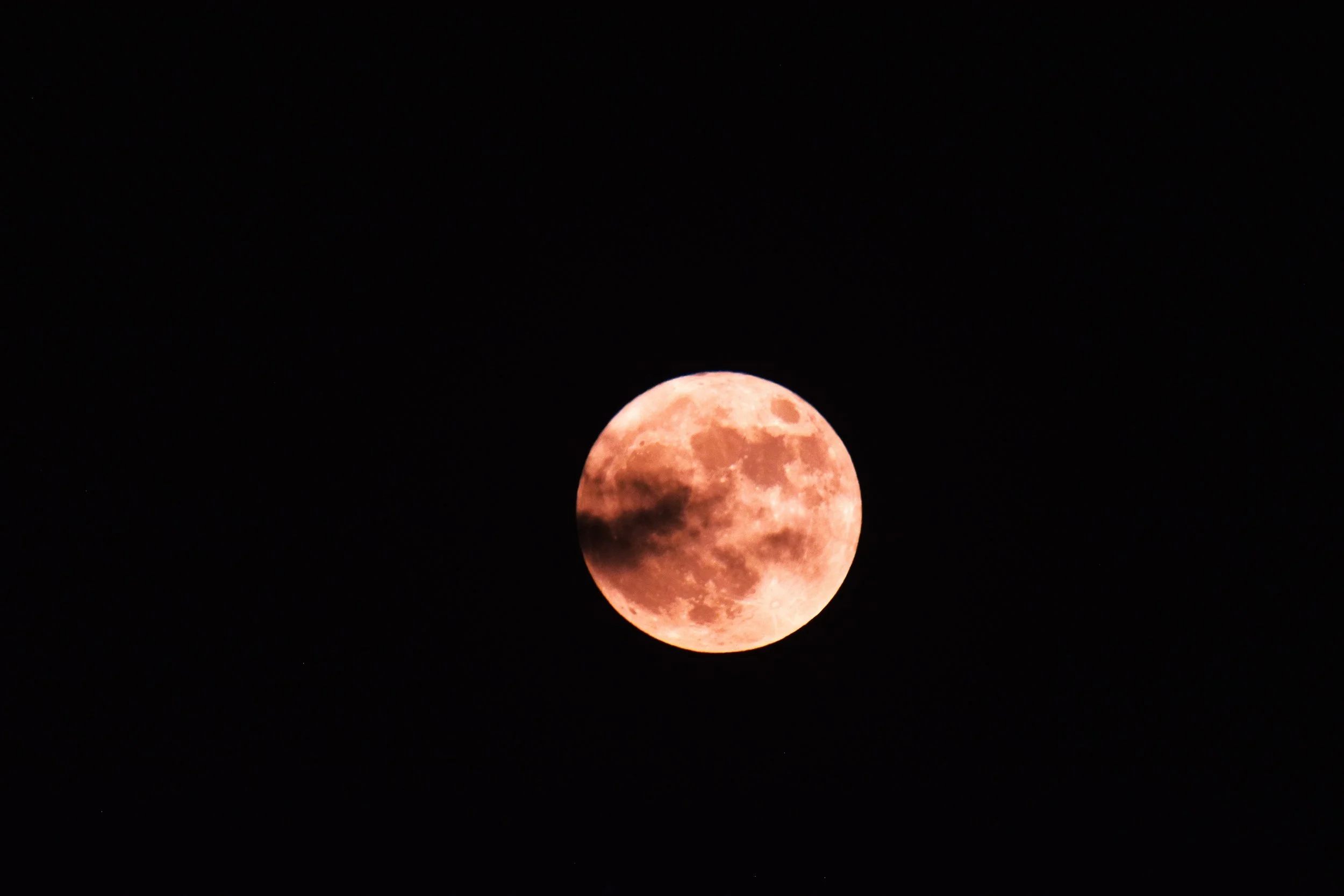 DSC_0491a.JPG