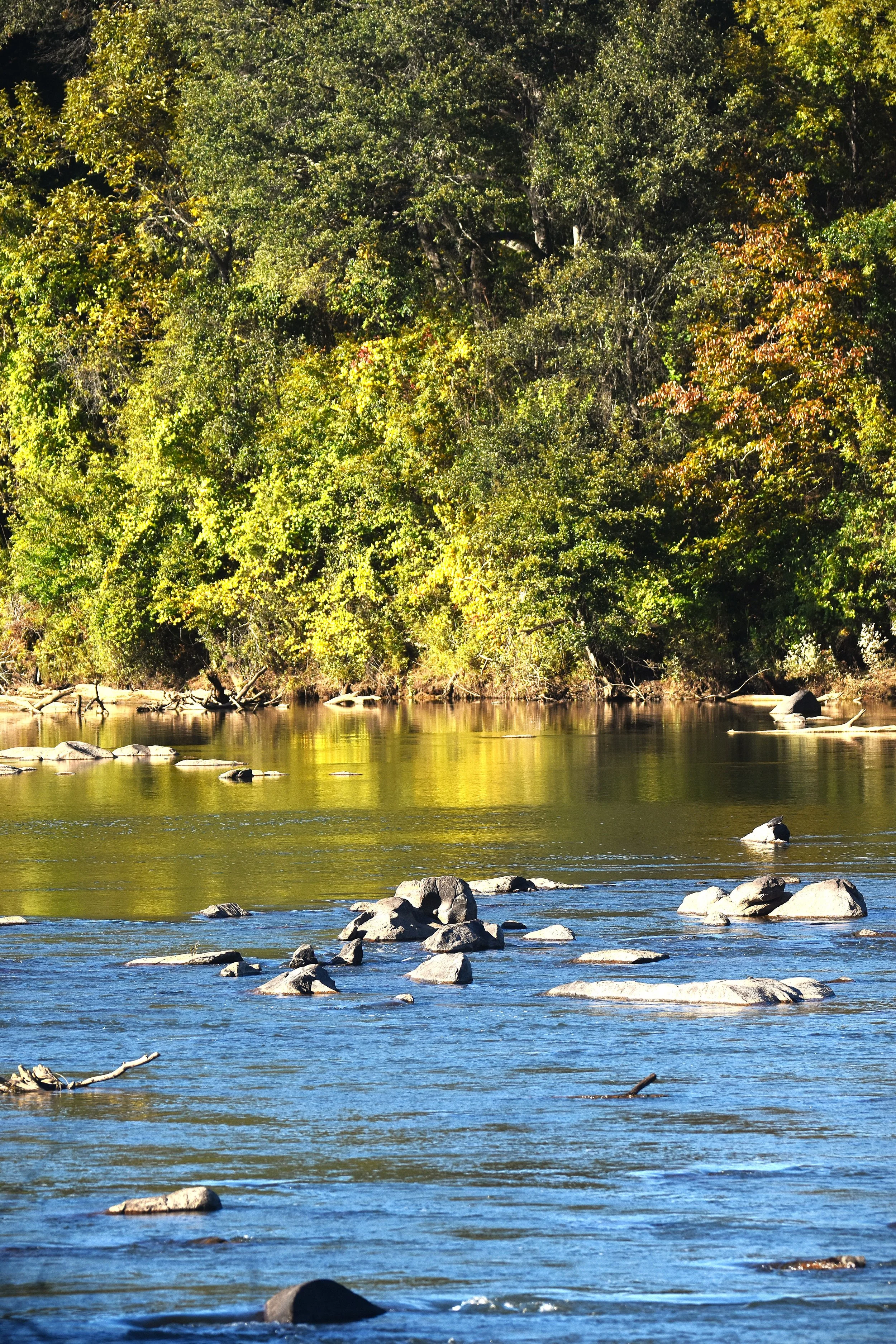 DSC_0628a.jpg