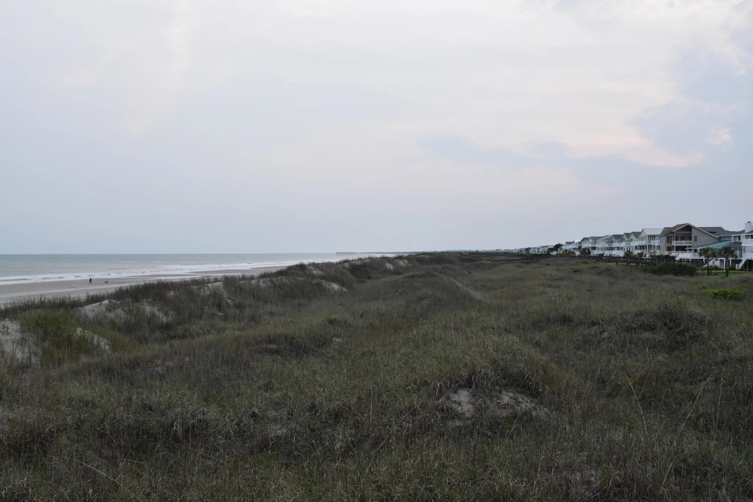 DSC_0113.JPG