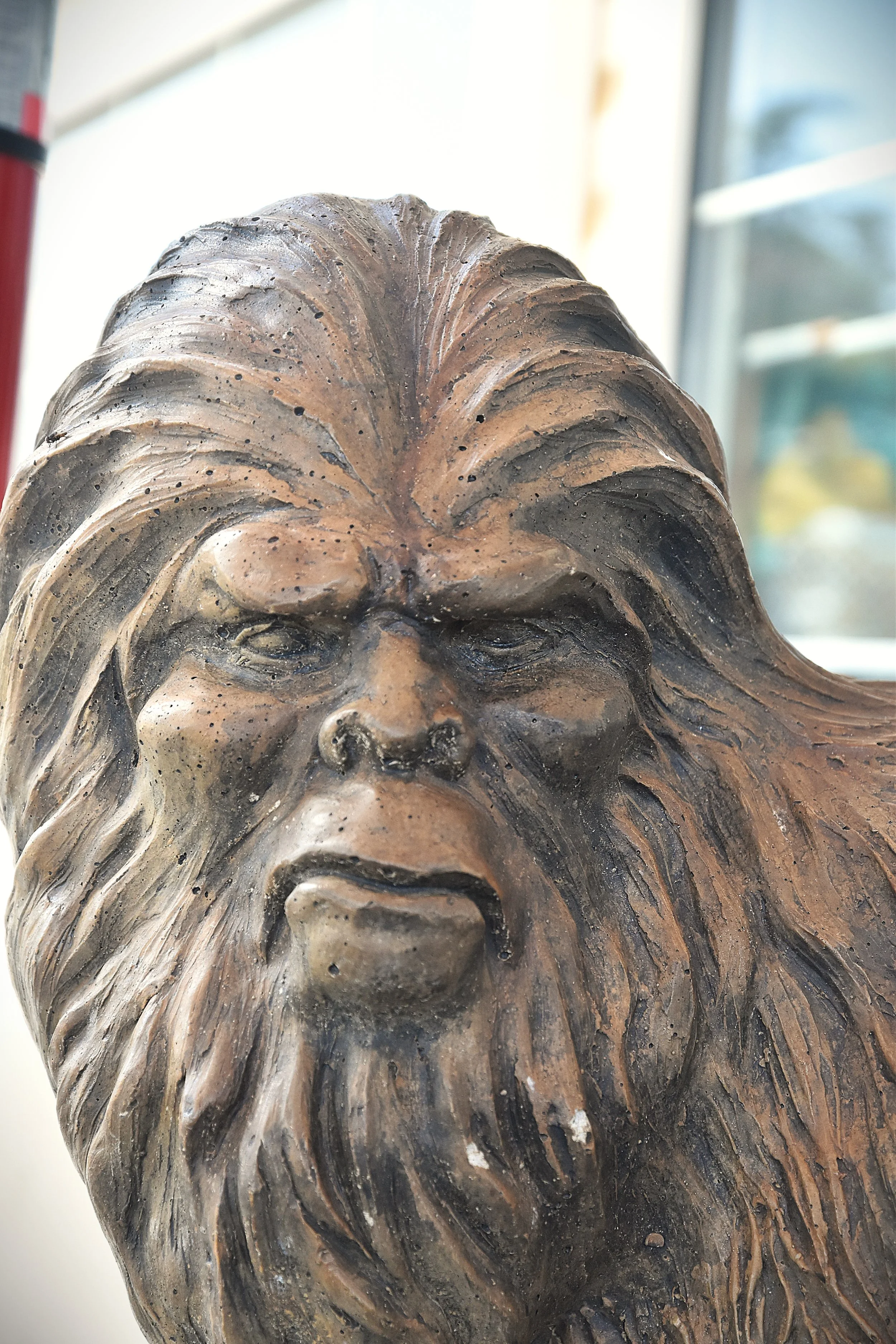 DSC_0665aa Sasquatch Chessnee.JPG