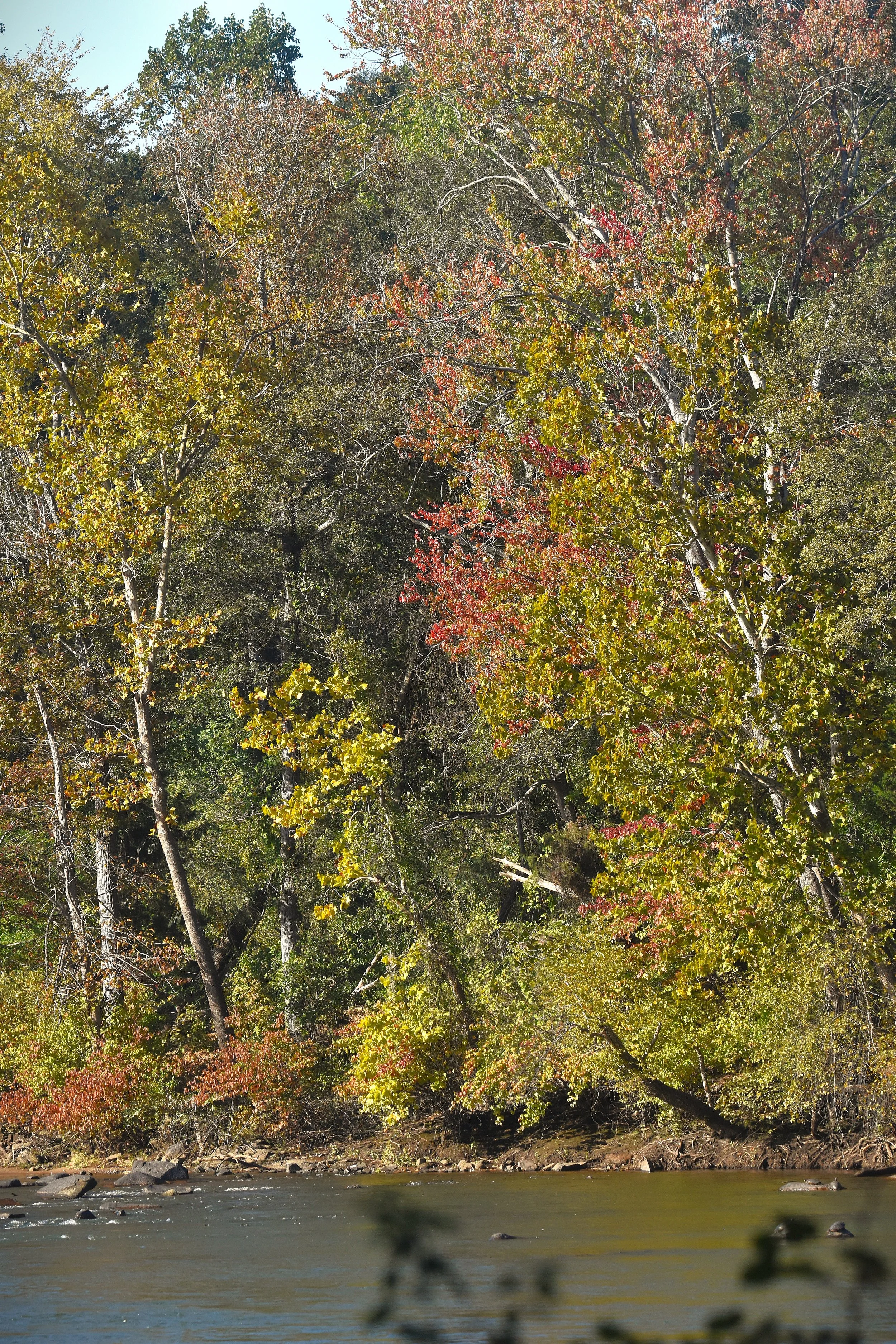 DSC_0608a.jpg