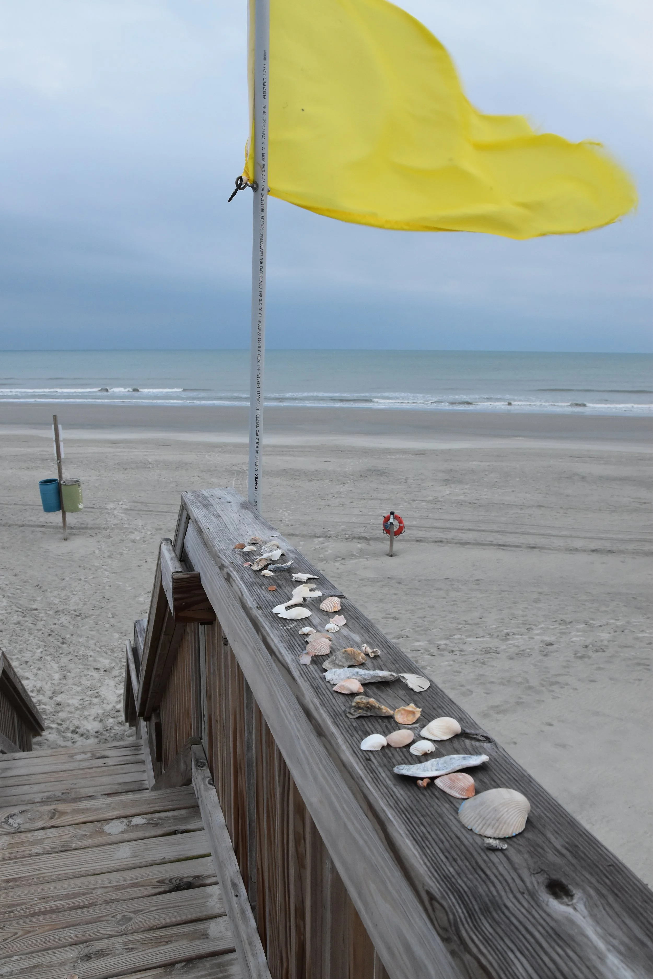 DSC_0124.JPG