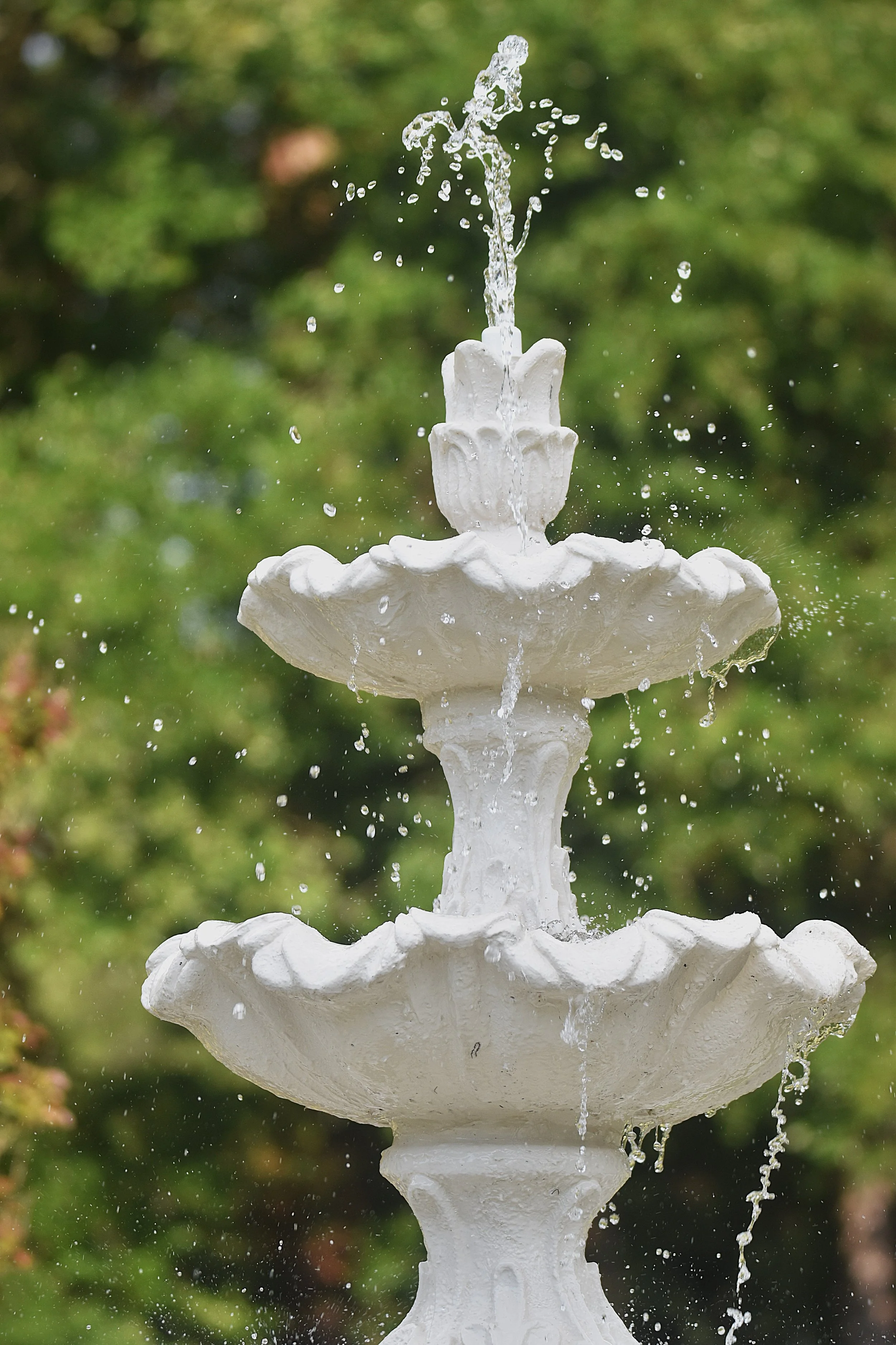 DSC_0496aa Fountain head.JPG