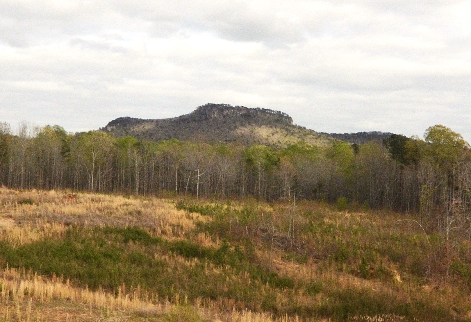 York County SC