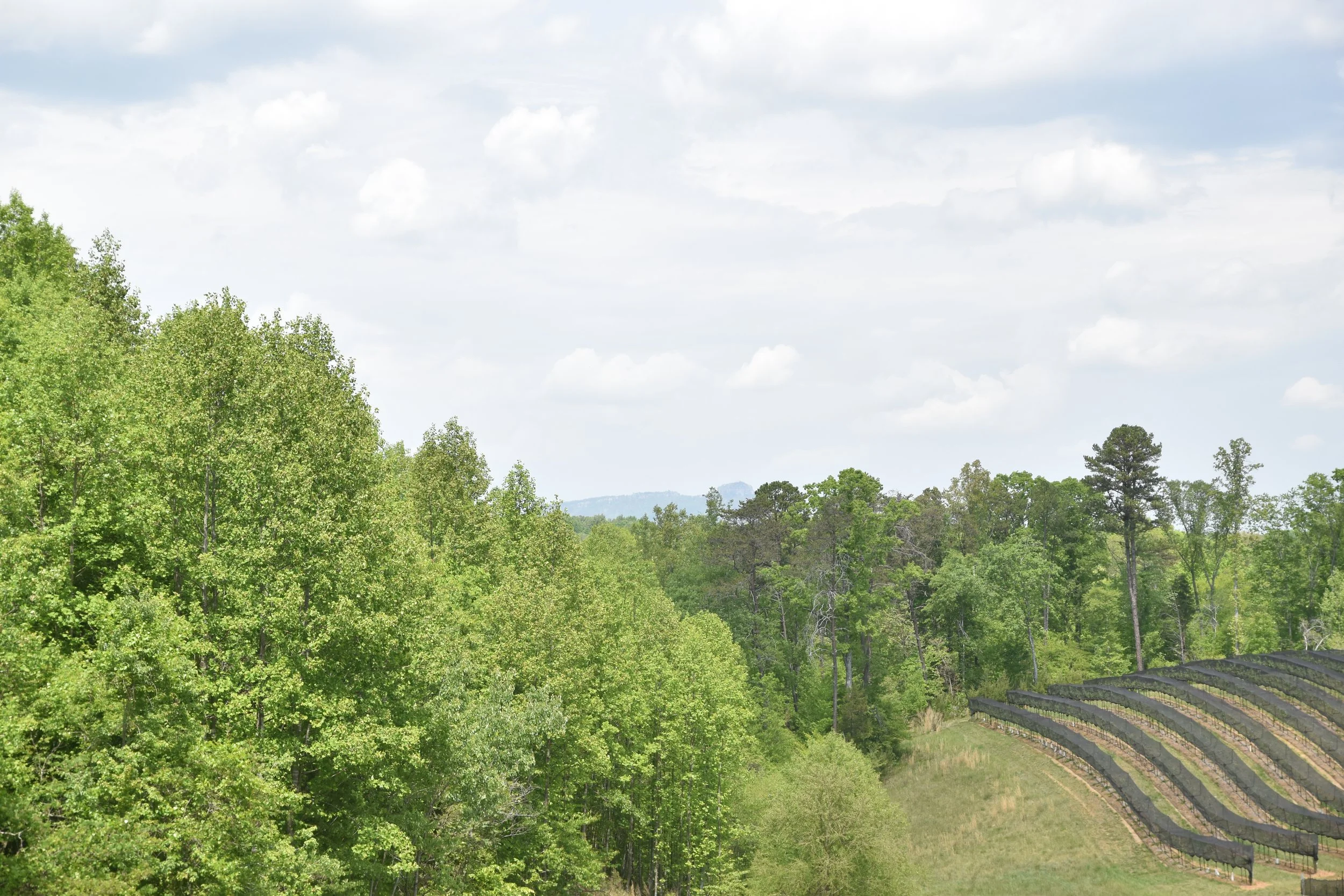 DSC_0022.JPG