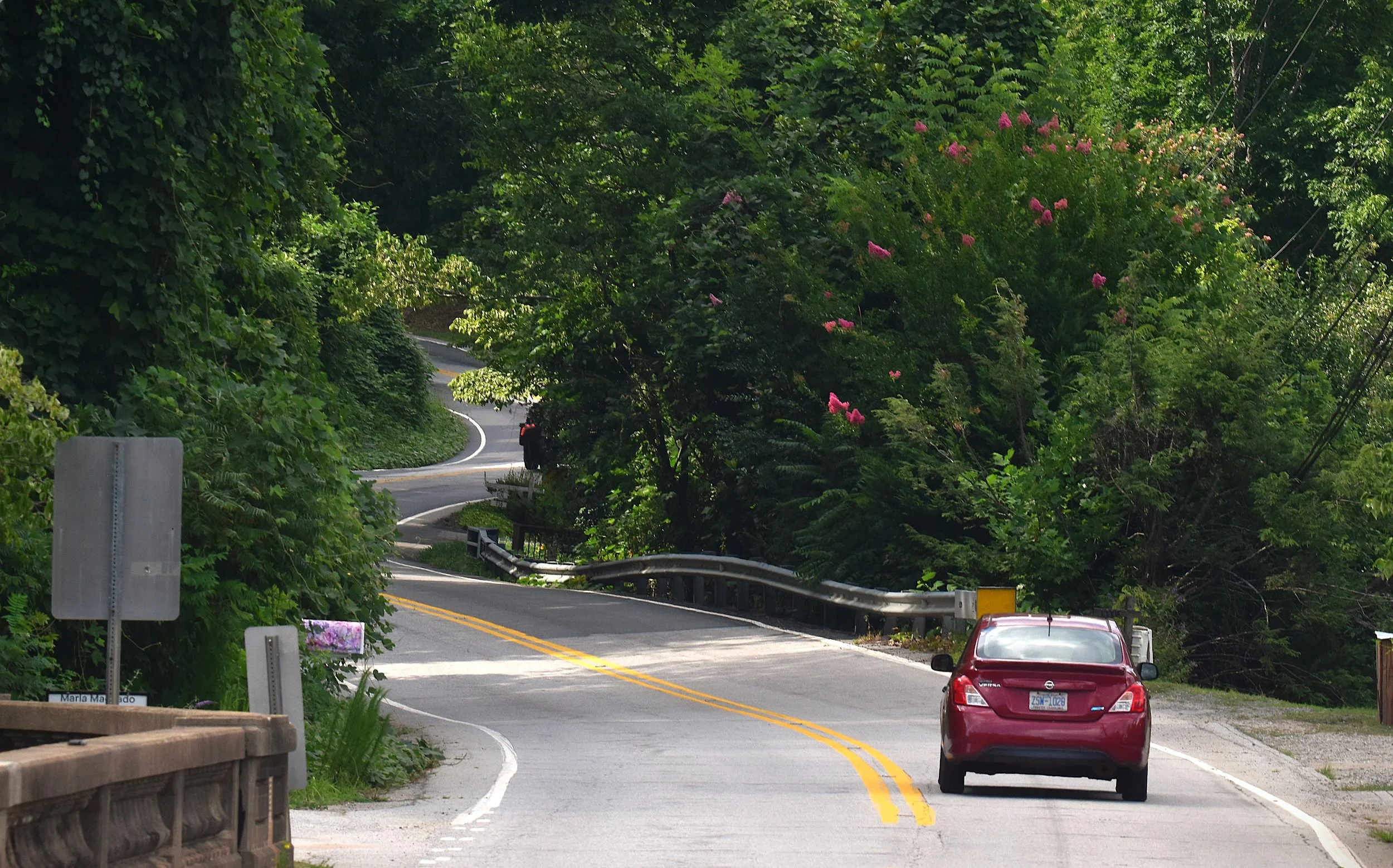 DSC_0697aa Mountain Roads Lake Lure.JPG