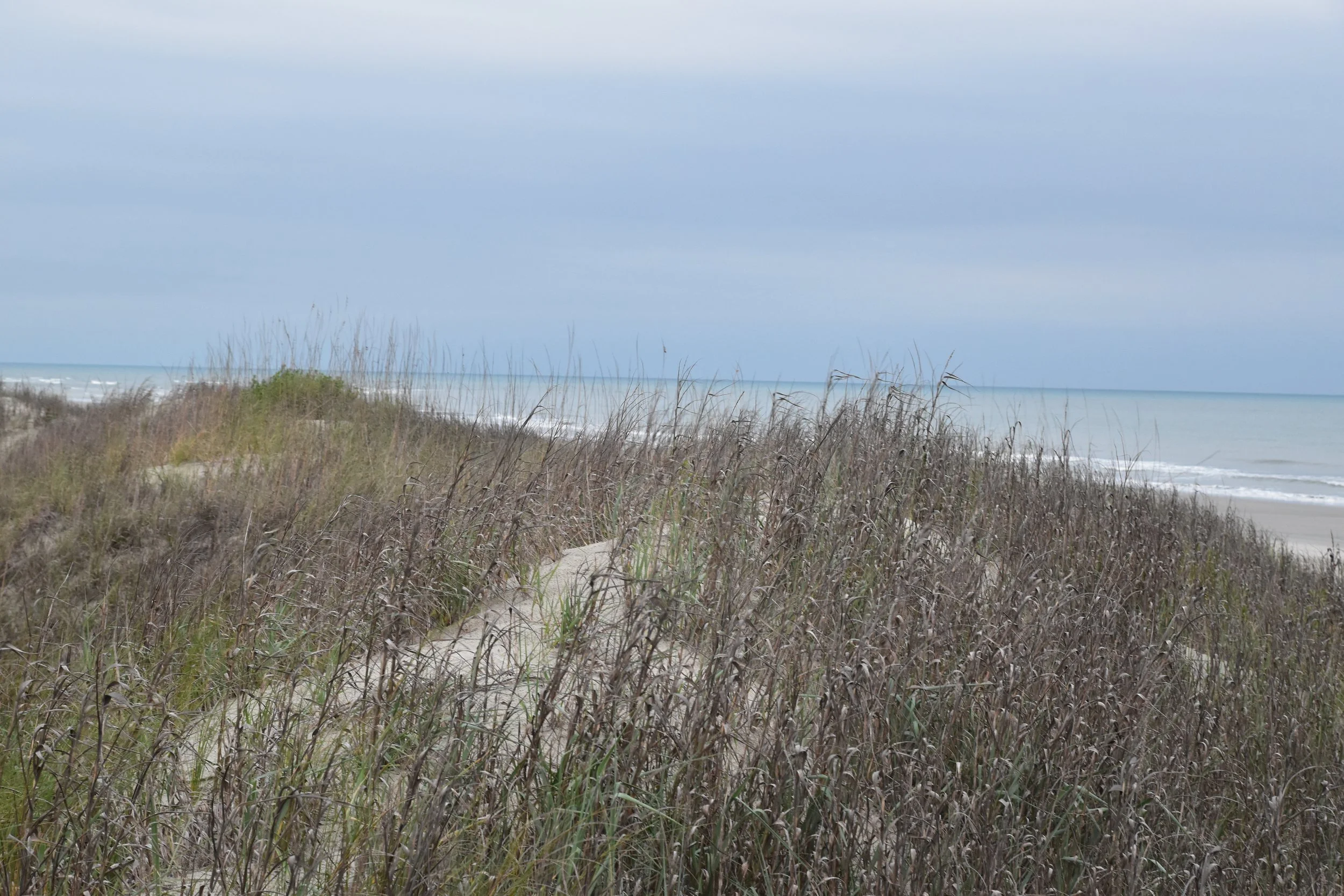 DSC_0118.JPG