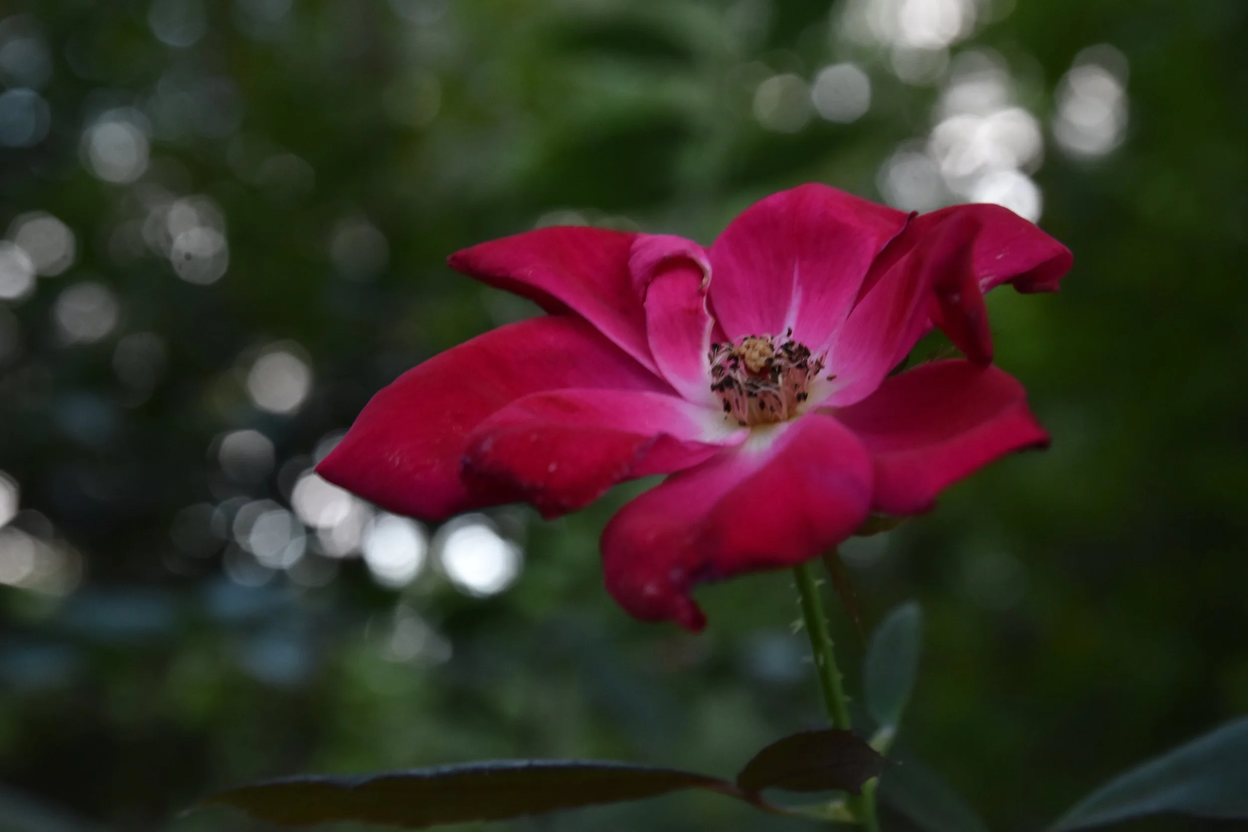 DSC_0569.JPG