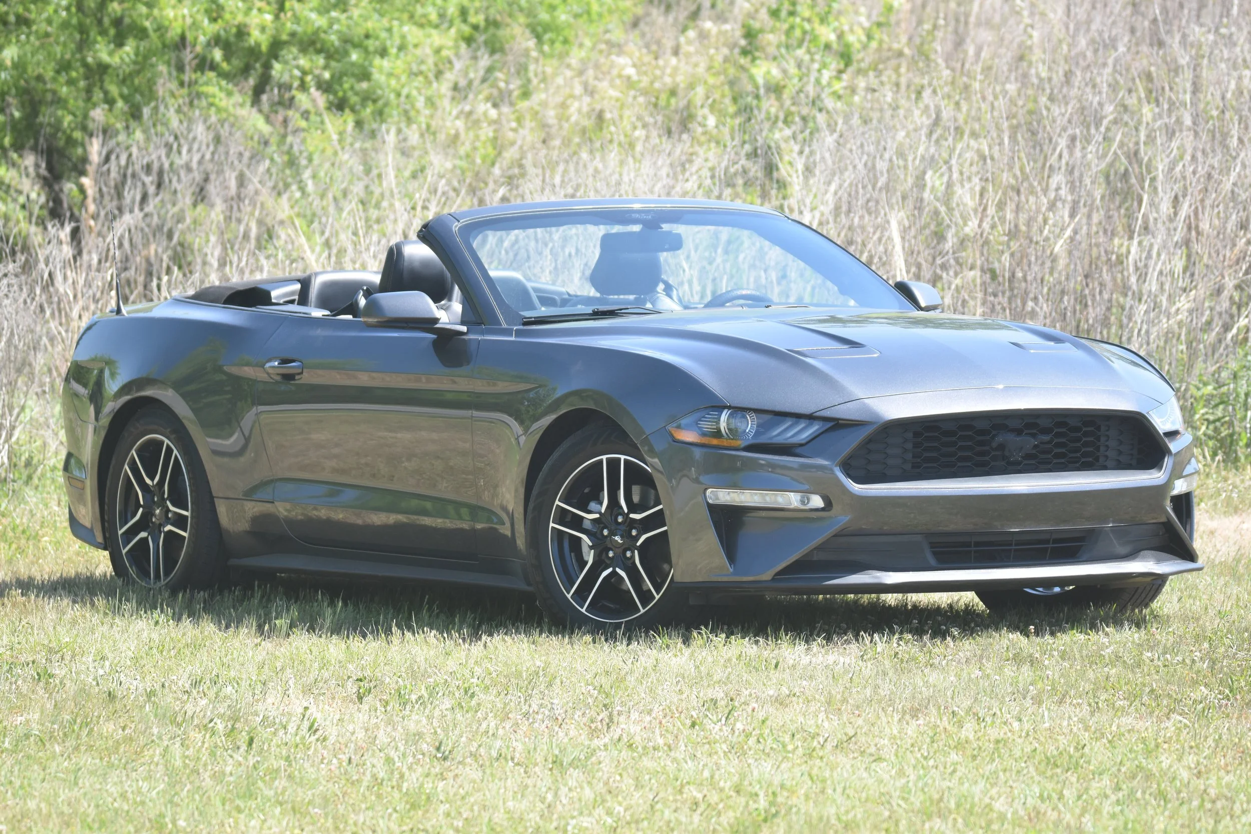 Mustang Sally New Ride