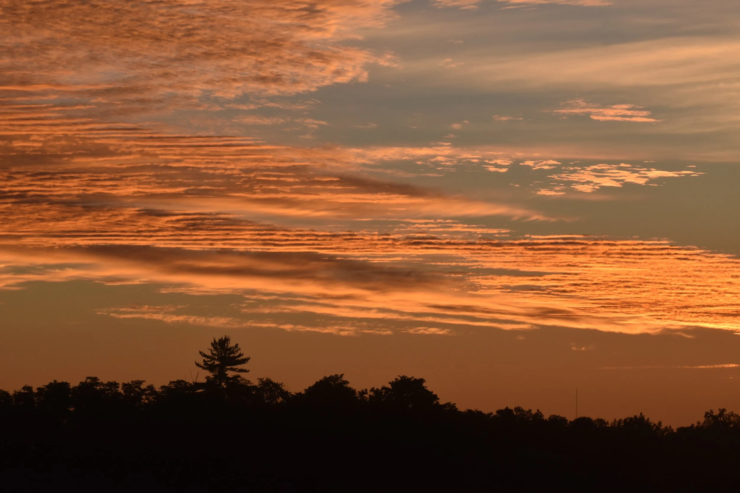 DSC_0460.JPG