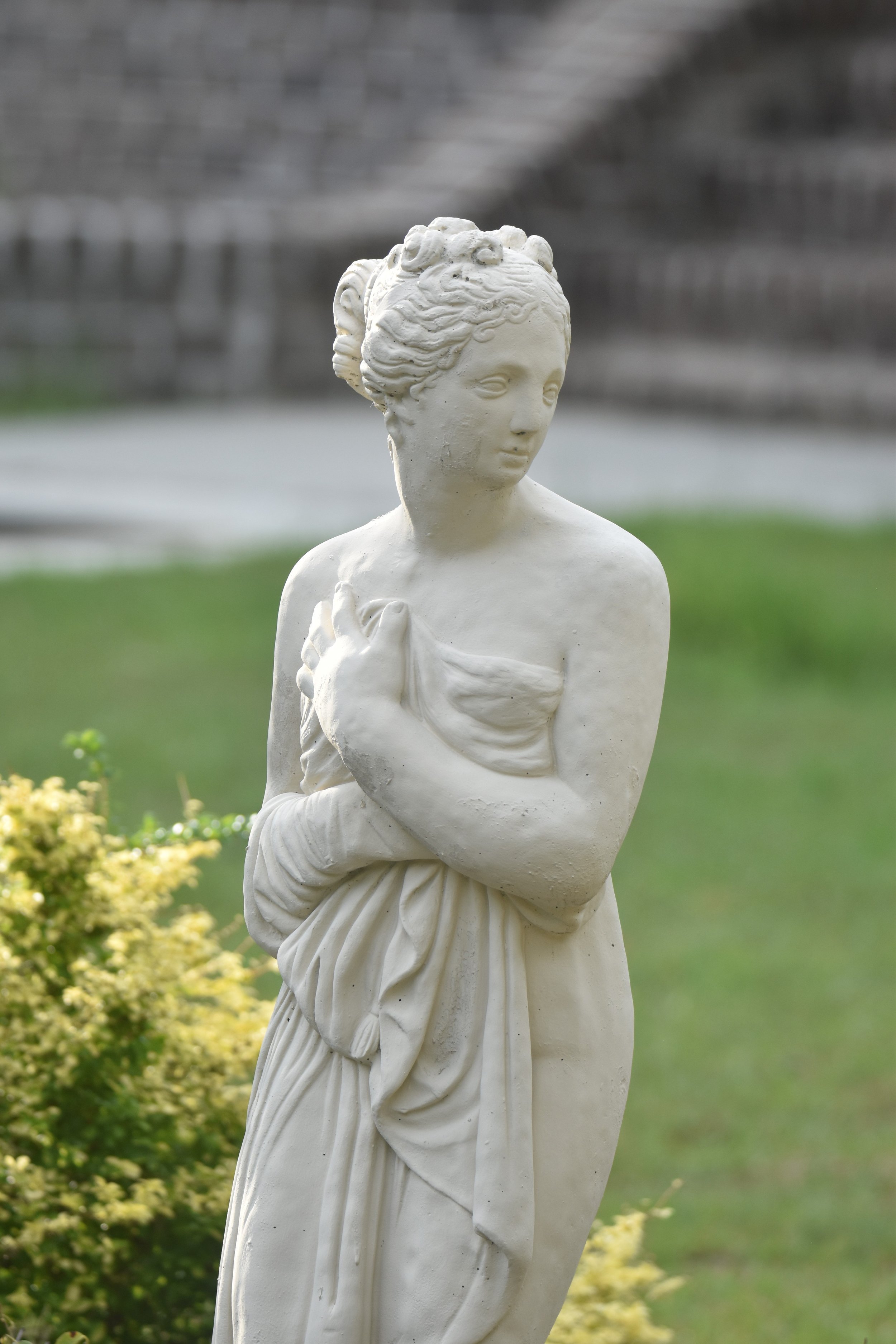 DSC_0518aa Mylisa body.JPG