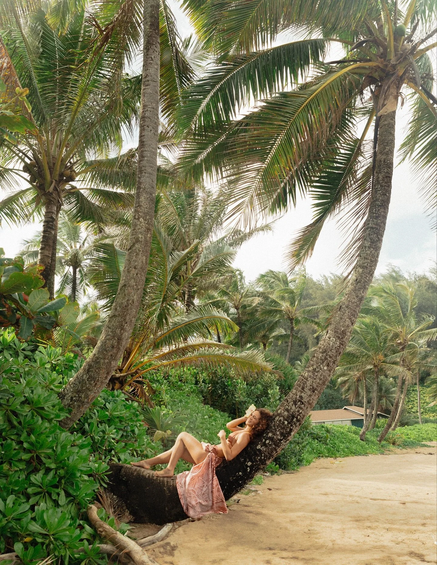 What it feels like as the autumn breeze rolls through the islands 🍃🦋🏝️🌊