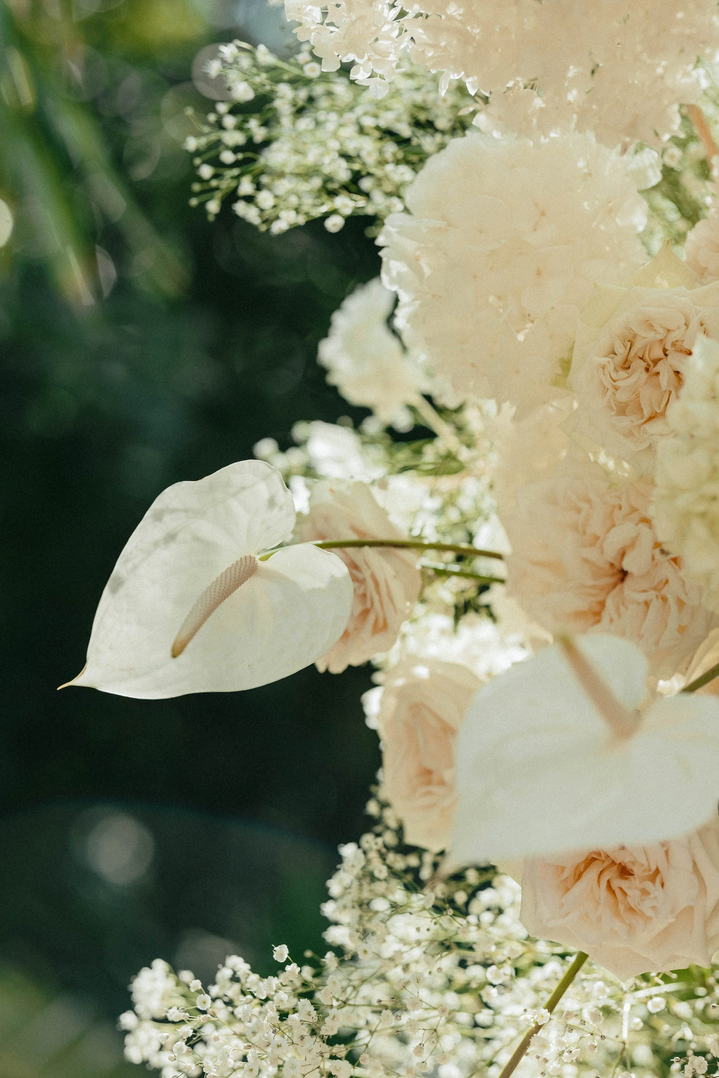 ls tulum wedding sneak peeks-26.jpg