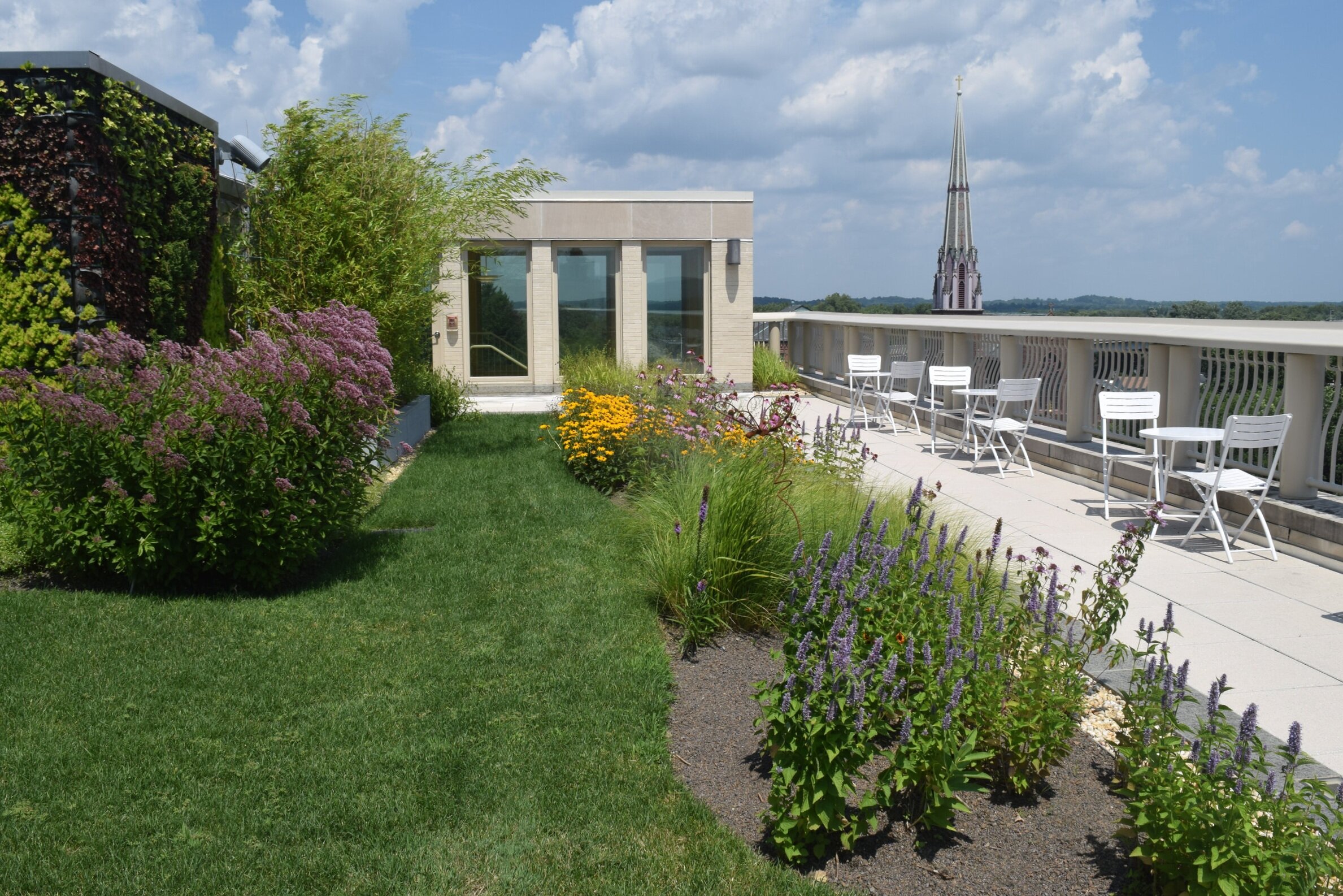CHC_Rooftop_4_CHC_2018_DSC_0158.jpg