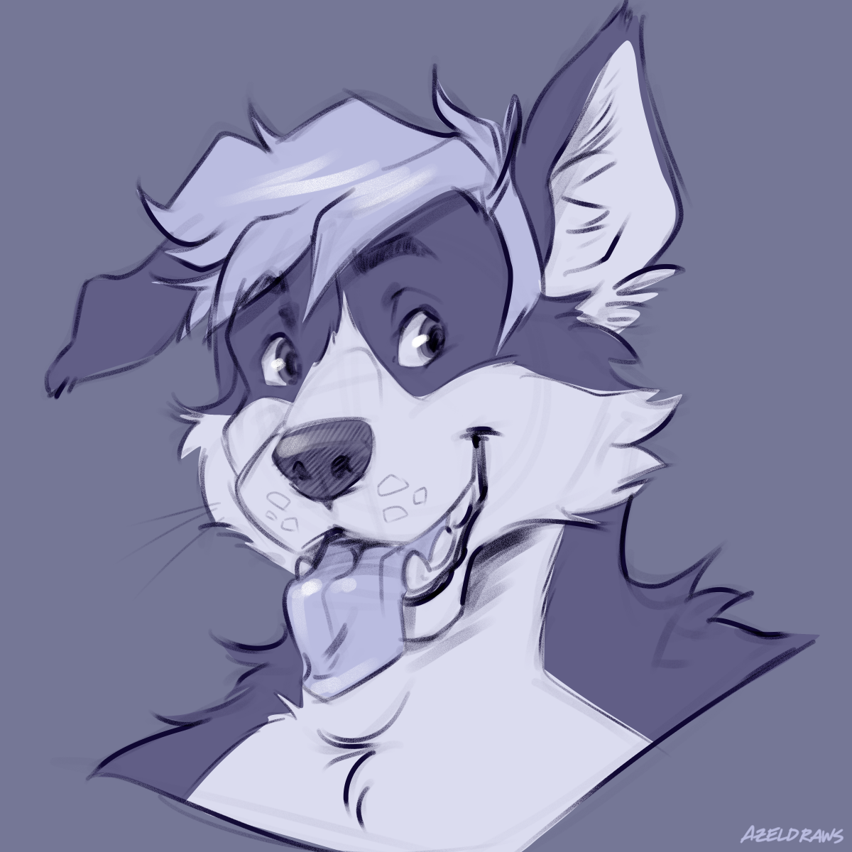 260227 Tyler.png