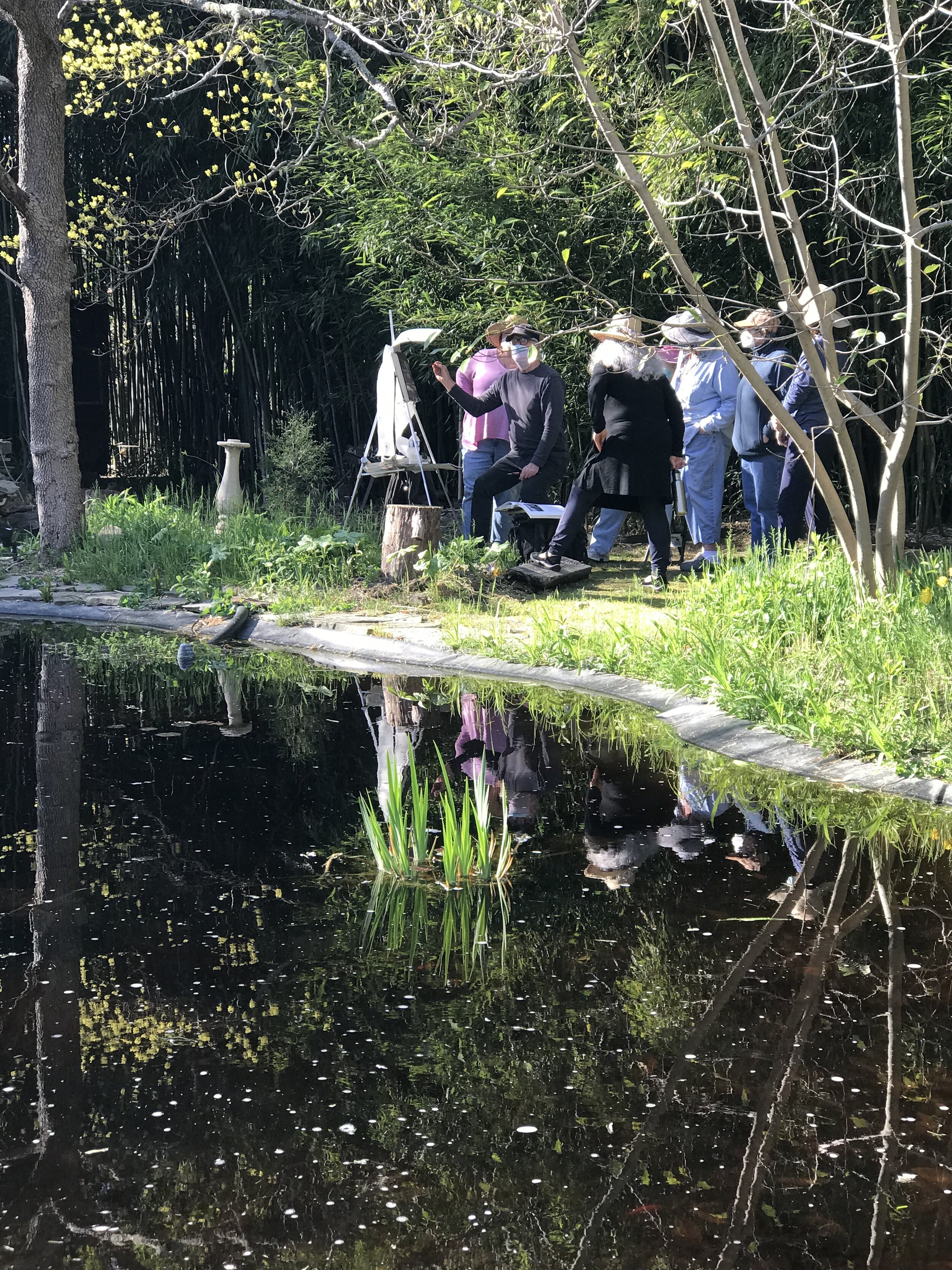 Spring Classes: Adult Landscape