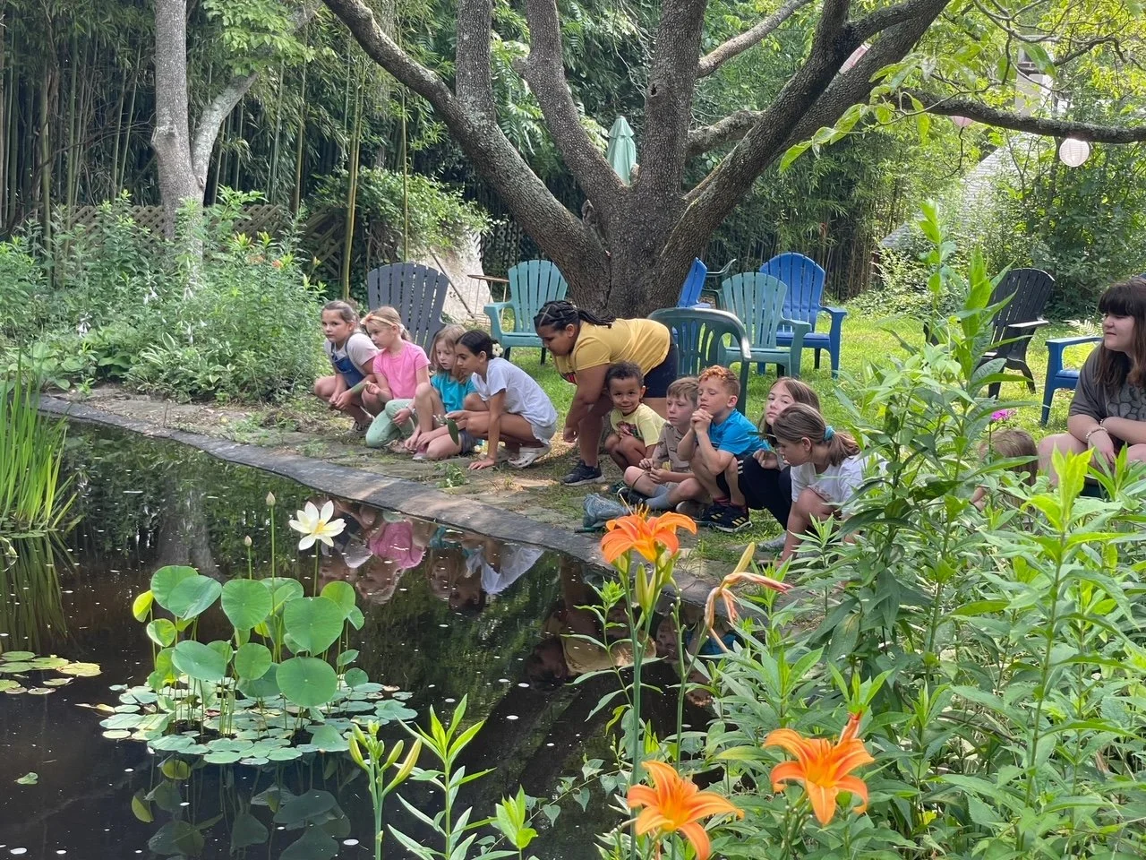 Summer Classes: Children’s Painting, Drawing, Pottery &amp; Nature