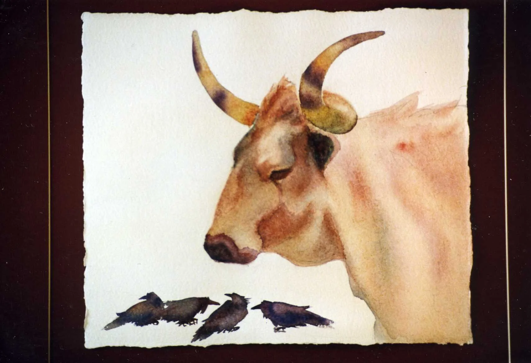 Longhorn w ravens.jpg