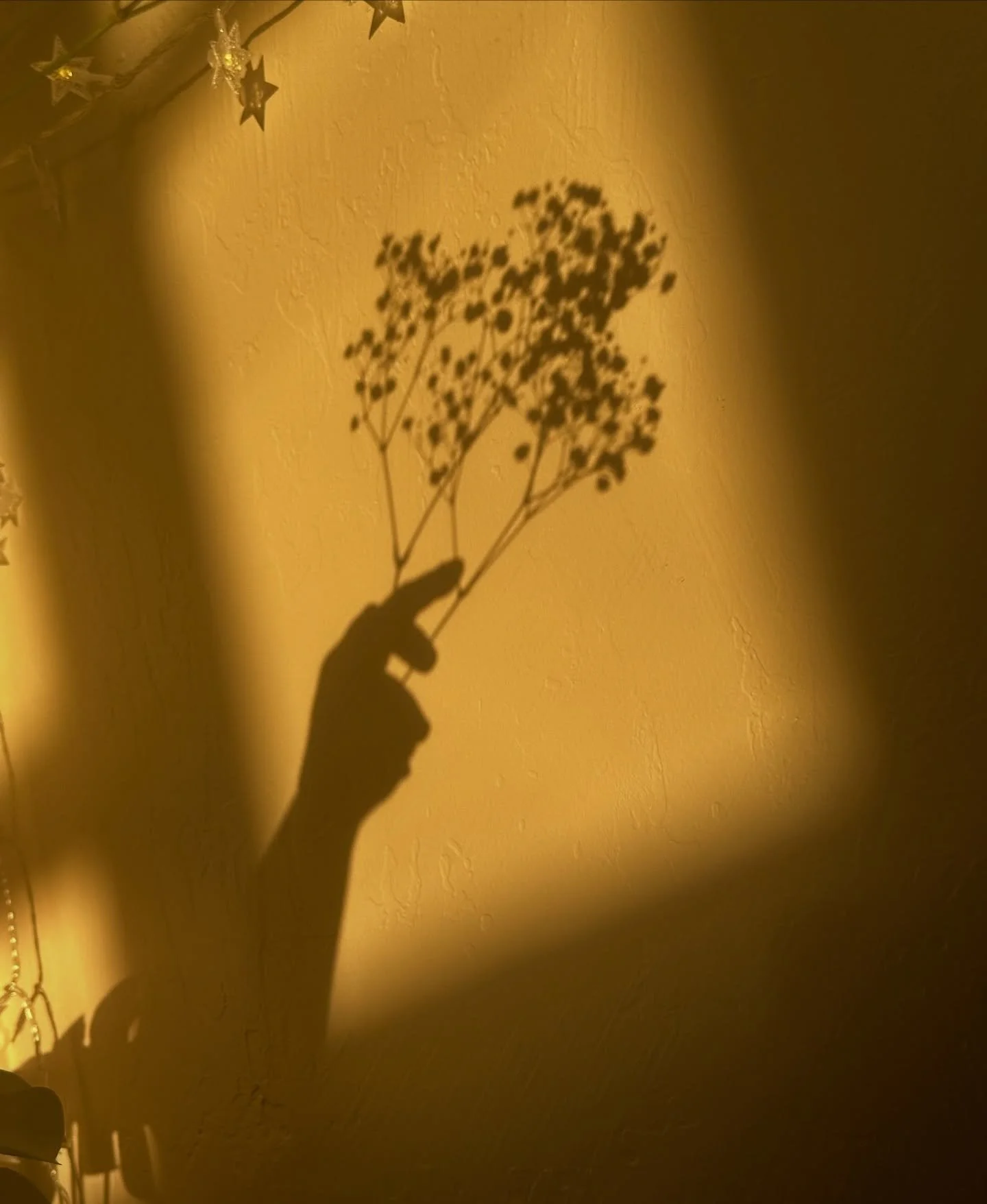 New work loading 2026✨&hellip;
@celesteswitala 
#bts