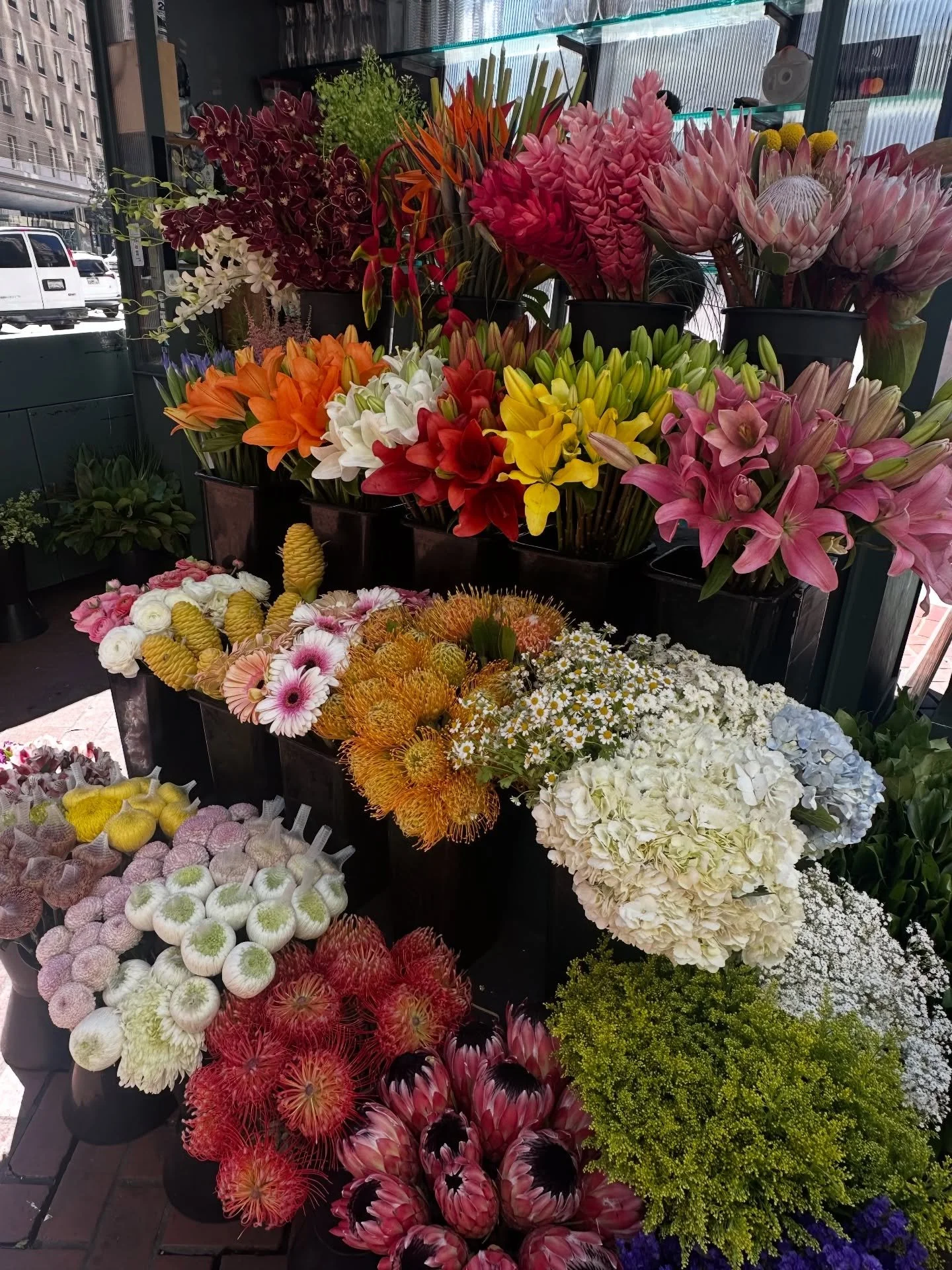 Spring is doing her big one 💐👏🍰