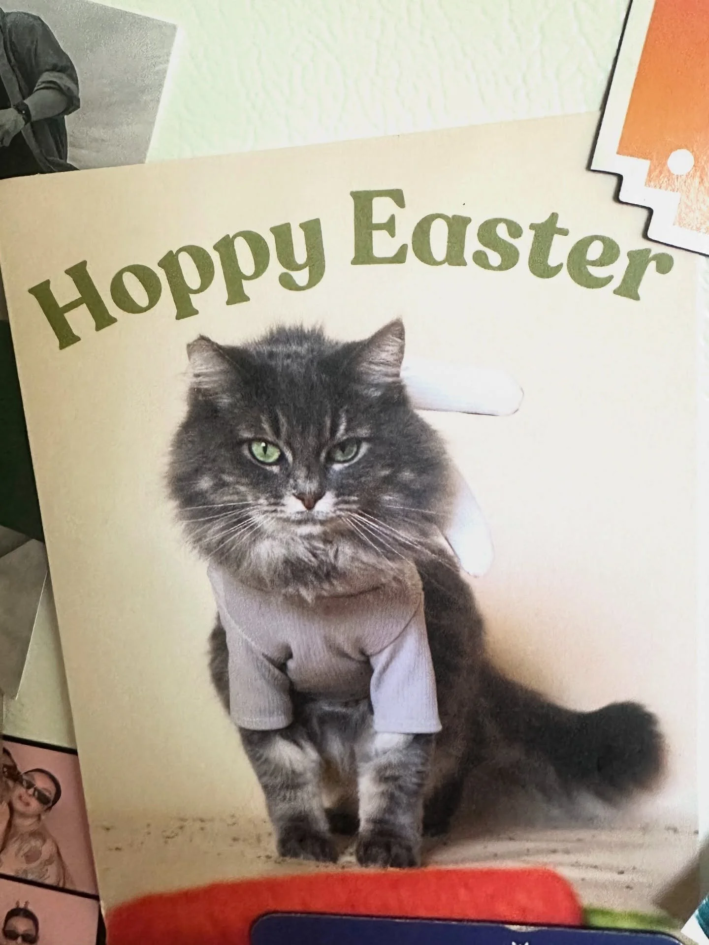 Hoppy Easter from Josie girl 💕🐰
