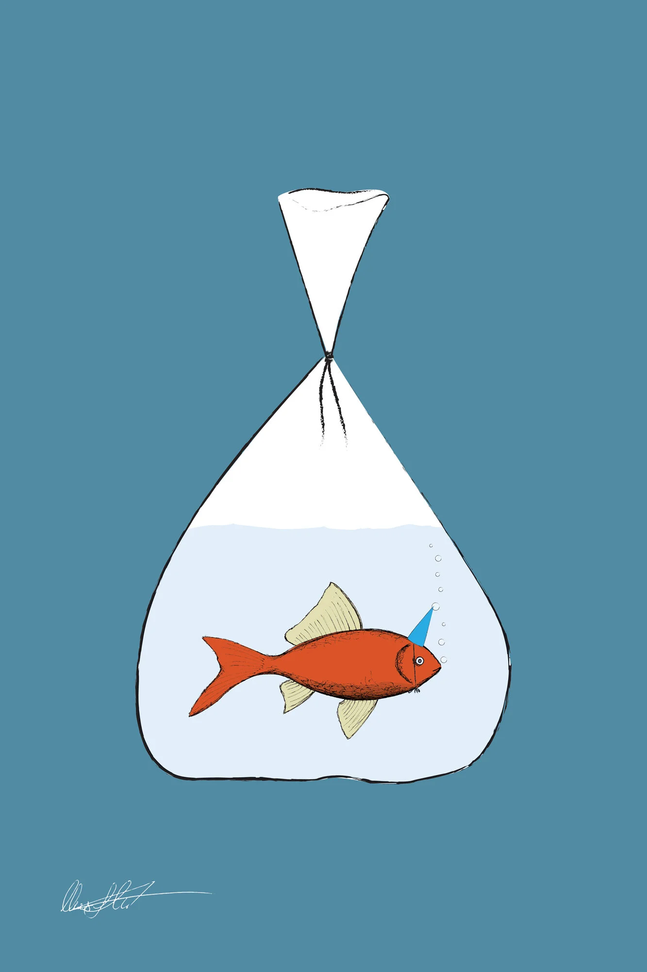 Fish in a Bag Illustration