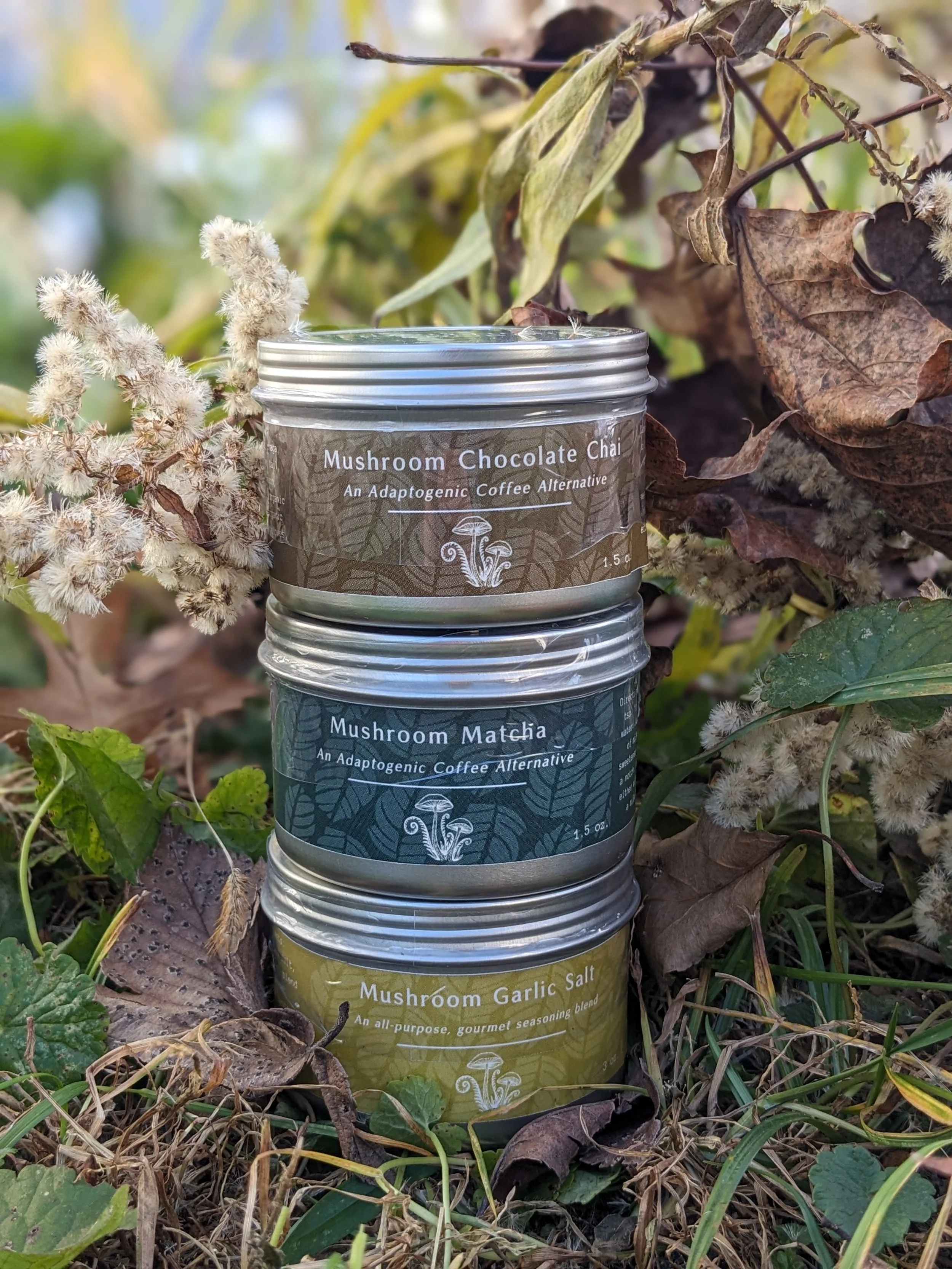 Mushroom Matcha Drink Mix