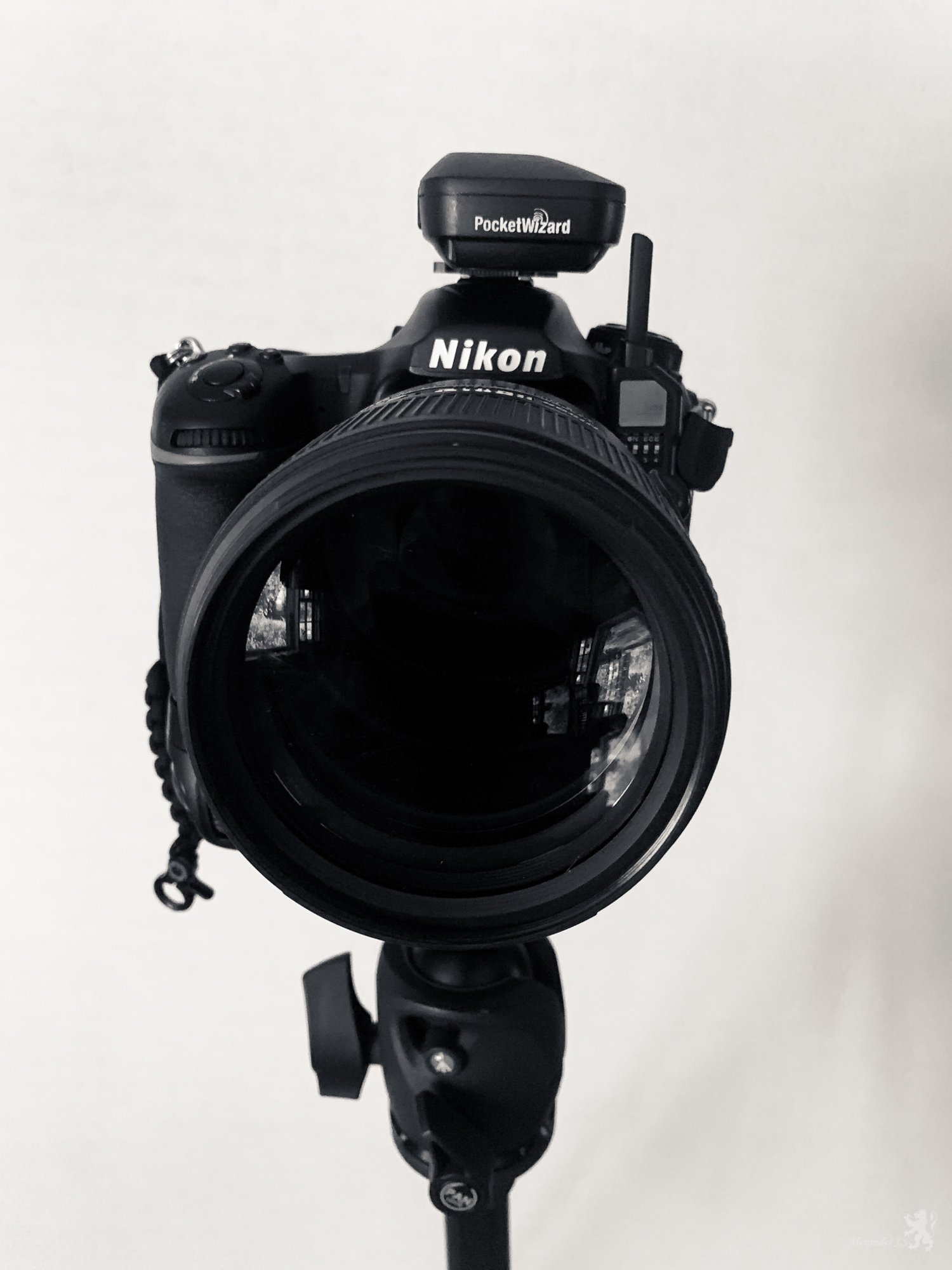 ajp resized (1 of 1)-127.jpg